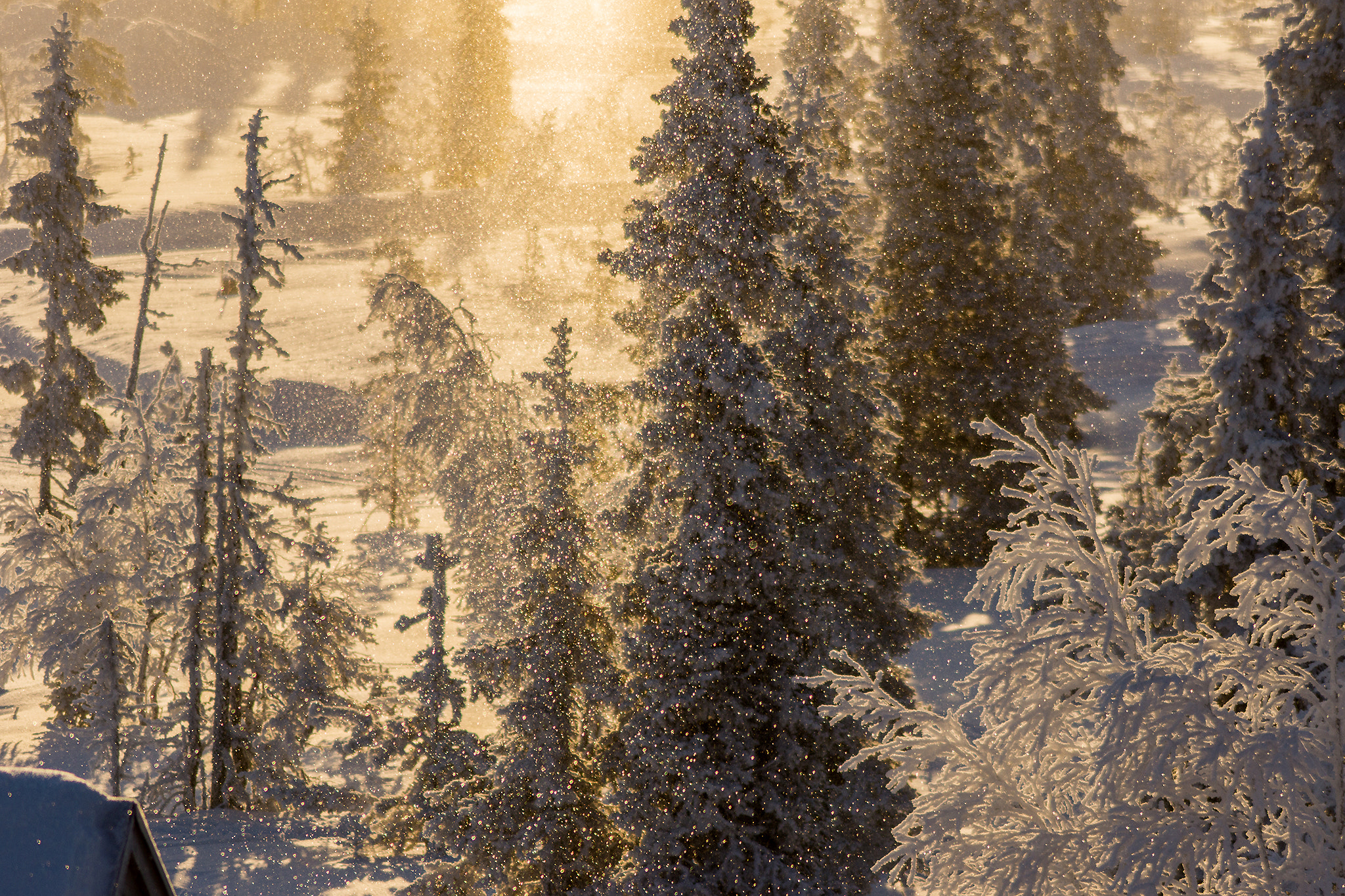 Sony SLT-A77 + Sony DT 55-200mm F4-5.6 SAM sample photo. Snow particles photography