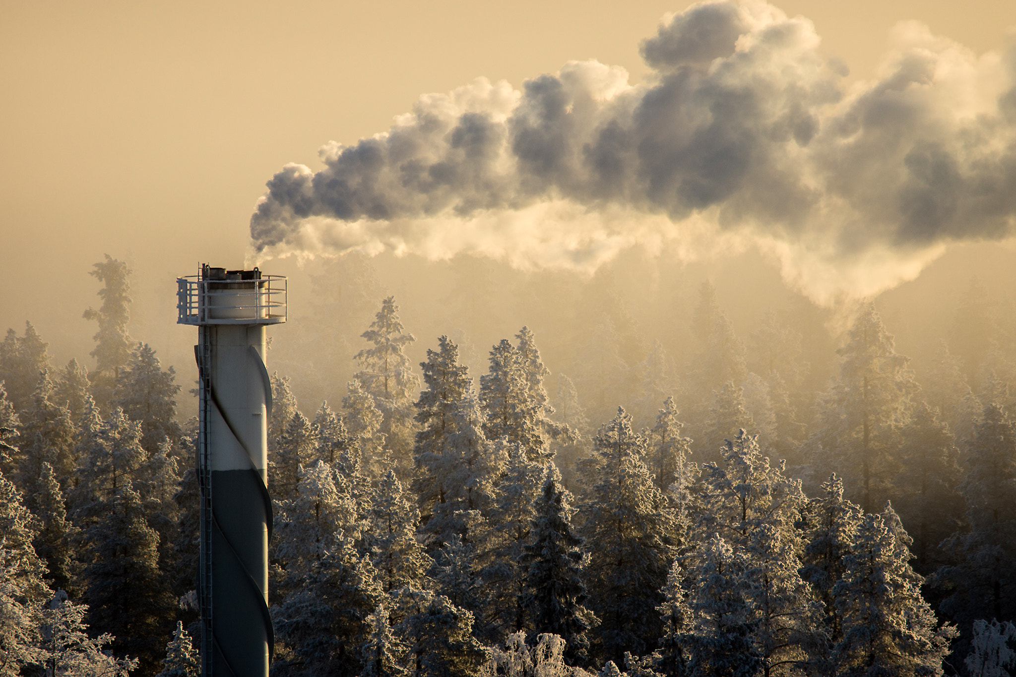 Sony SLT-A77 sample photo. Fog catching up to chimney photography