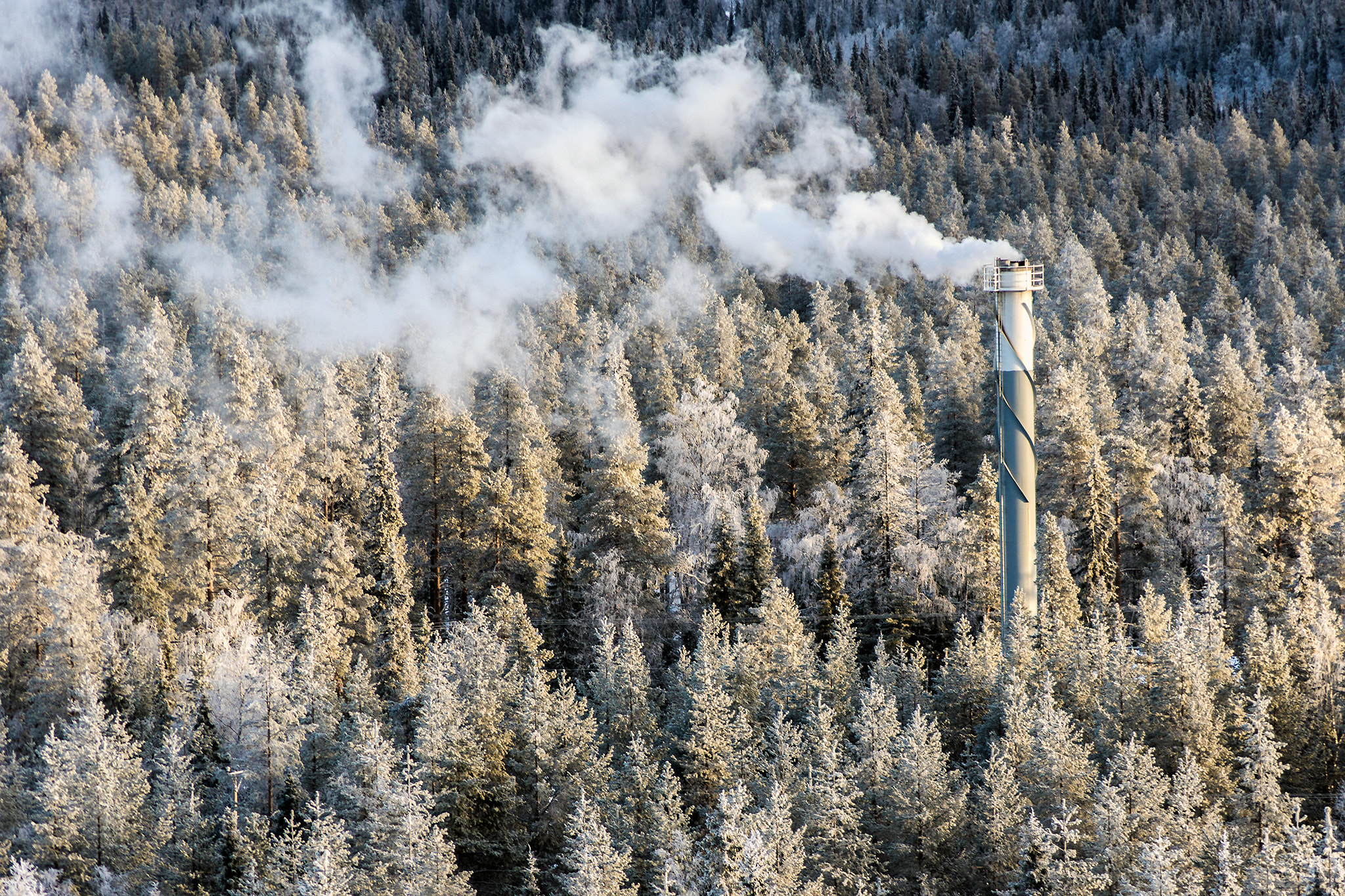 Sony SLT-A77 + Sony DT 55-200mm F4-5.6 SAM sample photo. Chimney through the trees photography