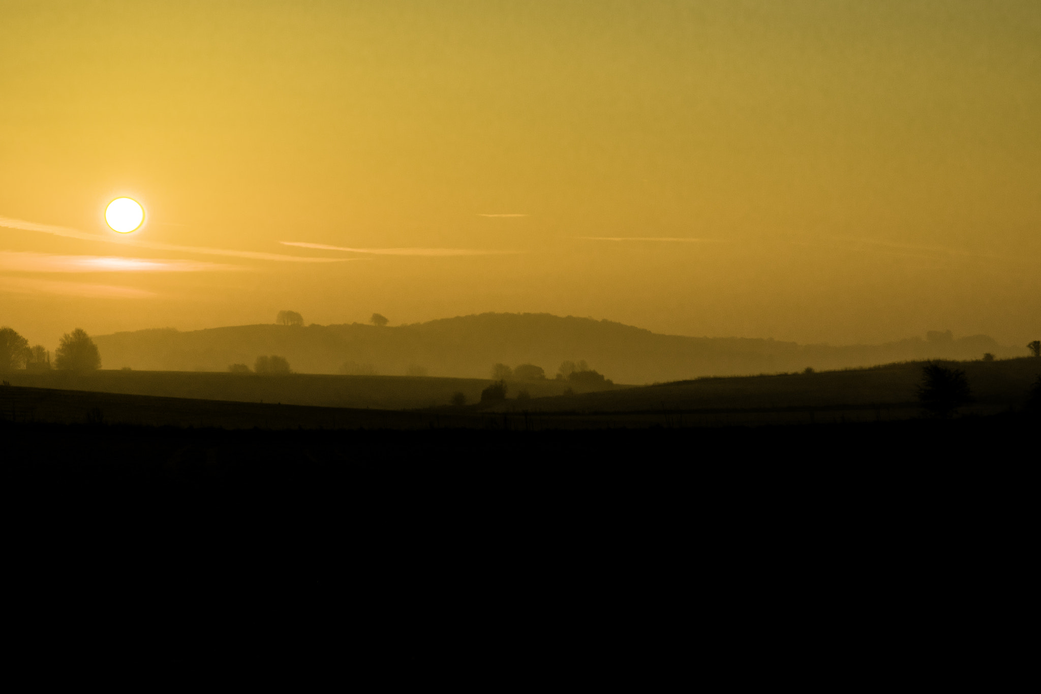 Sigma 24-70mm F2.8 EX DG Macro sample photo. Marmalade skies photography
