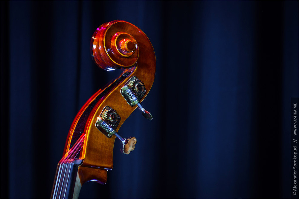 Sony a99 II sample photo. Classical double-bass instrument close-up view photography