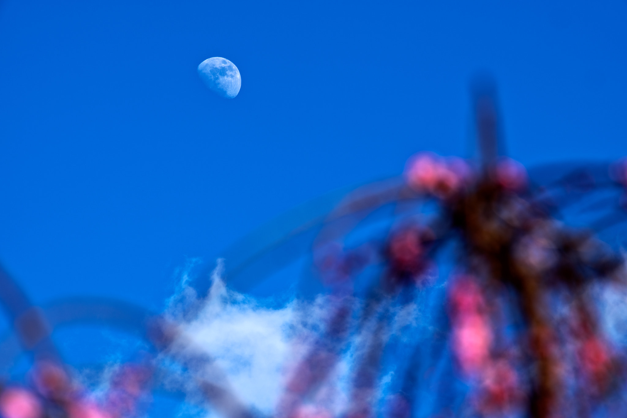 Pentax K-1 + Pentax smc DA* 300mm F4.0 ED (IF) SDM sample photo. Moon behind plum blossom photography