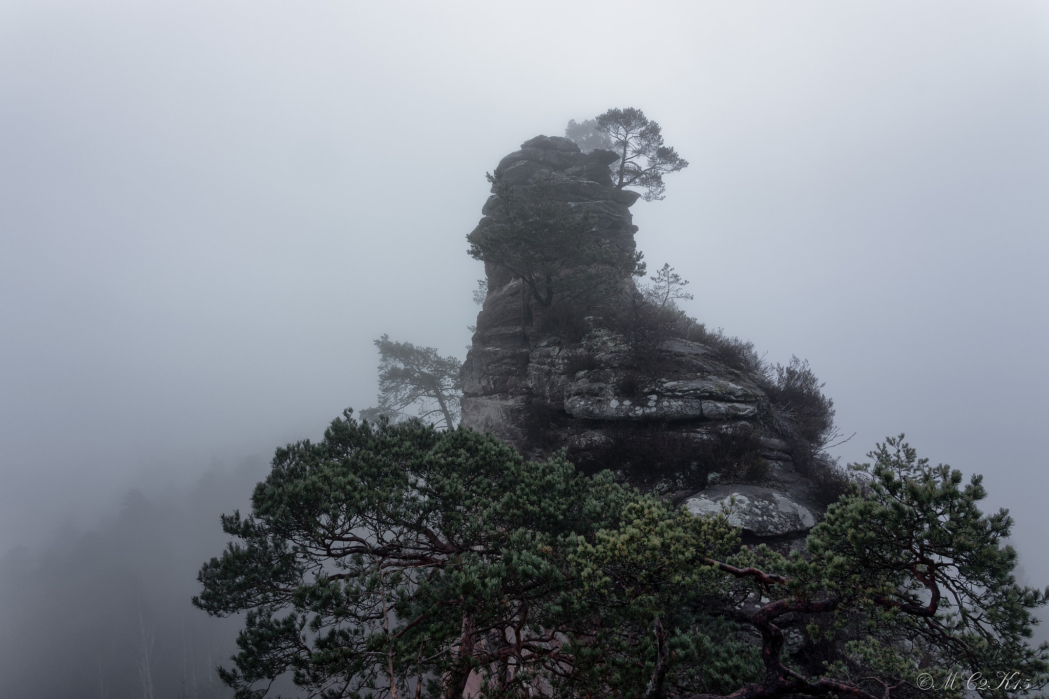 Canon EF 16-35mm F2.8L II USM sample photo. Misty morning photography