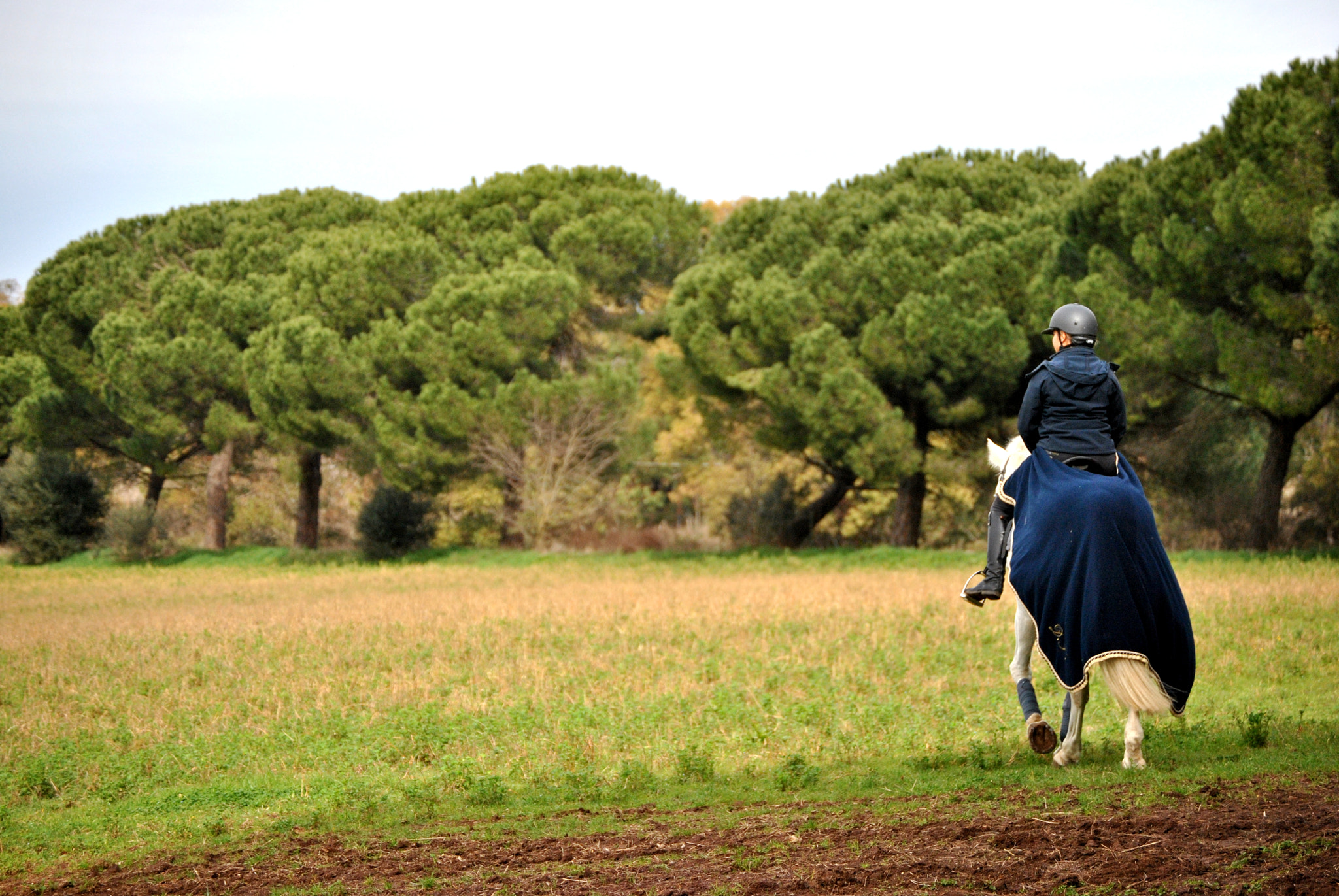 Nikon D3000 sample photo. Morning's ride photography