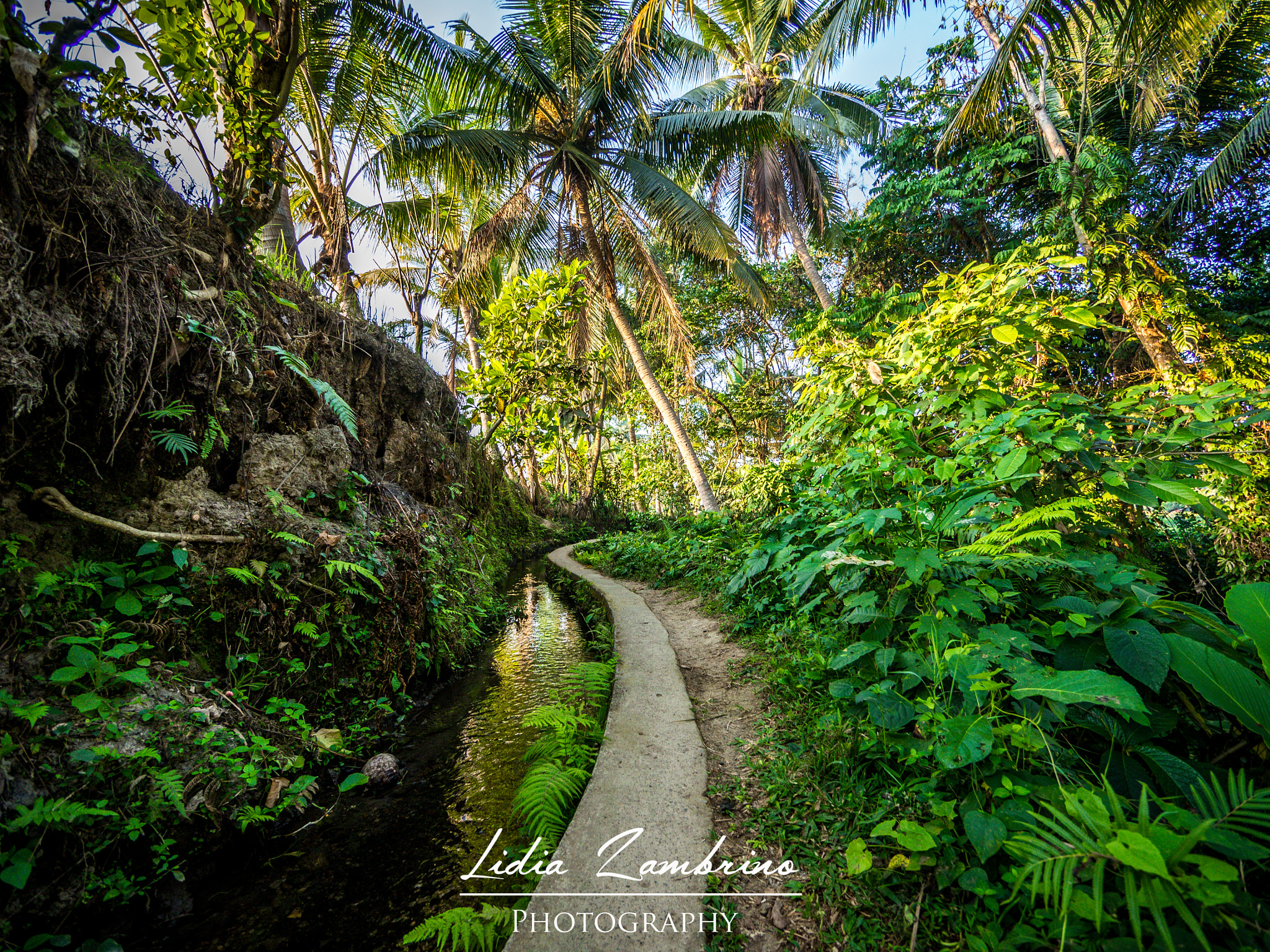 Olympus OM-D E-M10 + Panasonic Lumix G Vario 7-14mm F4 ASPH sample photo. Ubud - bali photography