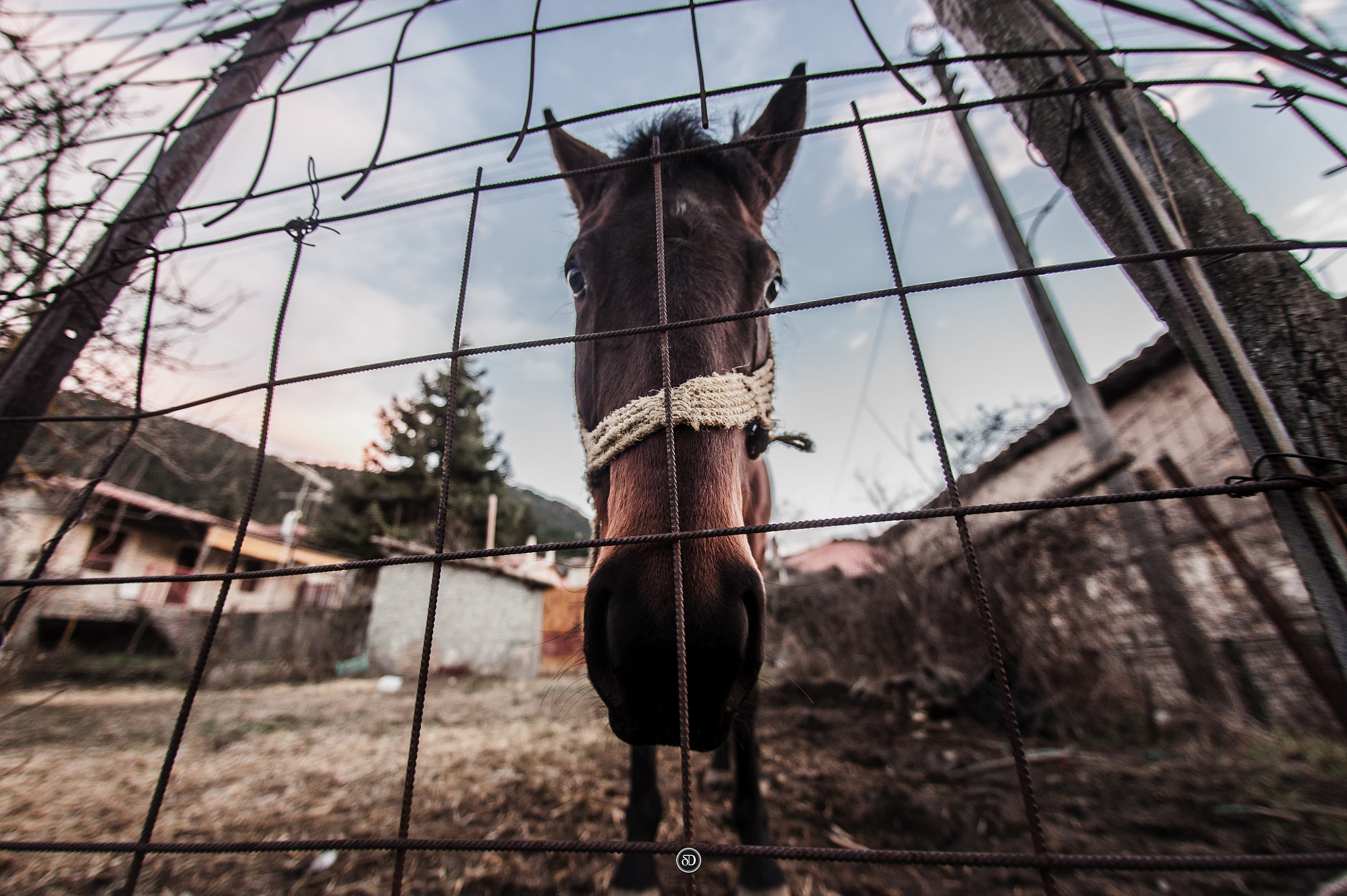 Nikon D3 + Sigma 15mm F2.8 EX DG Diagonal Fisheye sample photo. ... photography