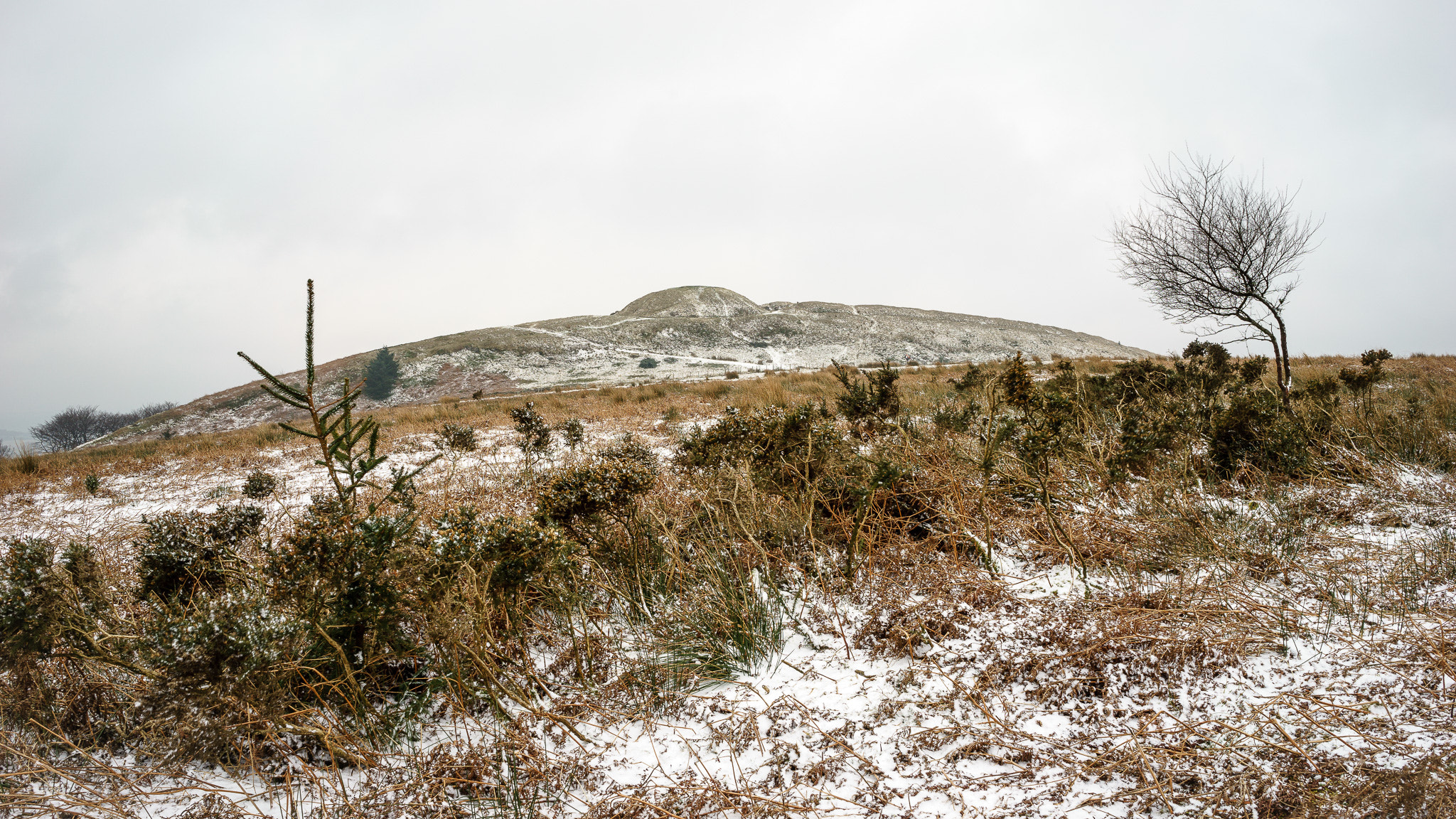 Sony a7 + Sony FE 28mm F2 sample photo. Light dusting of snow on twmbarlwm photography