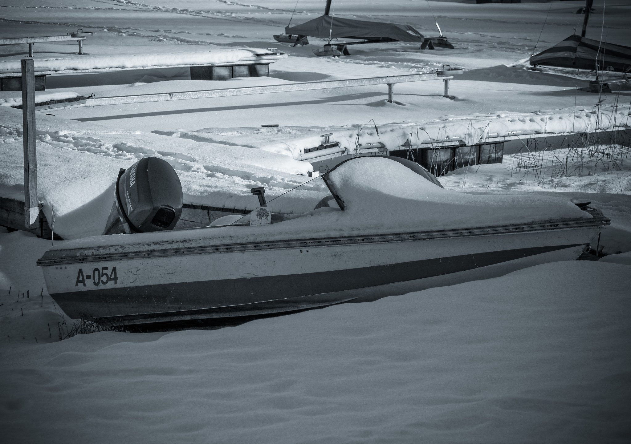 Olympus OM-D E-M10 sample photo. Frozen photography