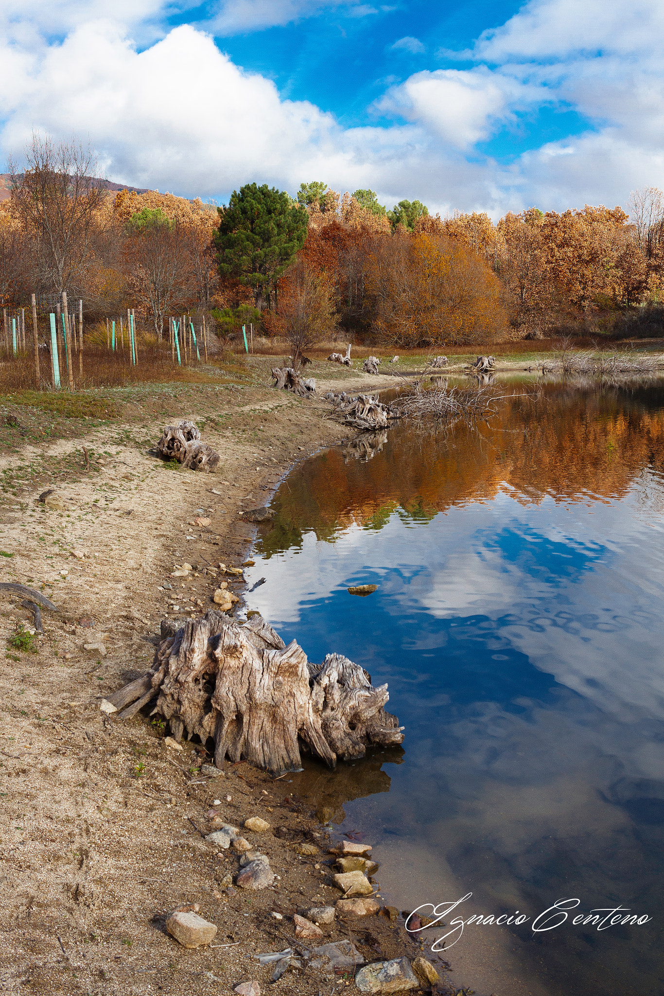 Canon EOS 7D + Canon EF-S 24mm F2.8 STM sample photo