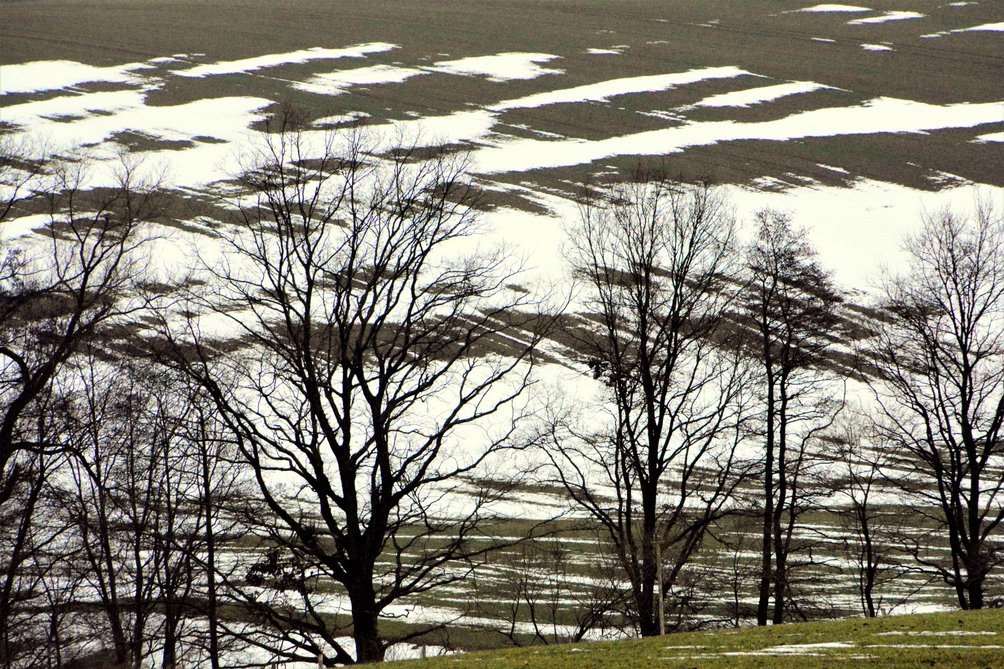 Sigma 18-250mm F3.5-6.3 DC OS HSM sample photo. Uphill and downhill photography