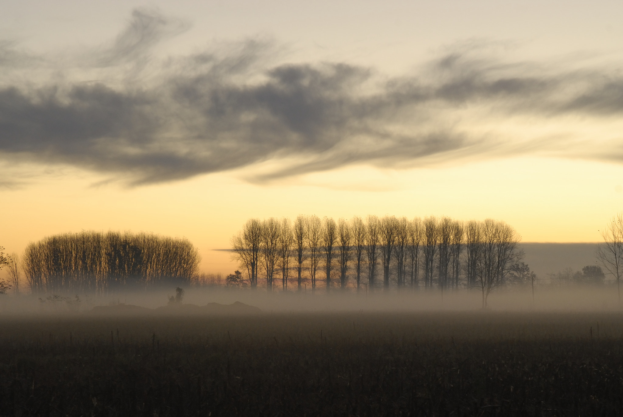 Nikon D200 sample photo. Sunrise in the country. photography