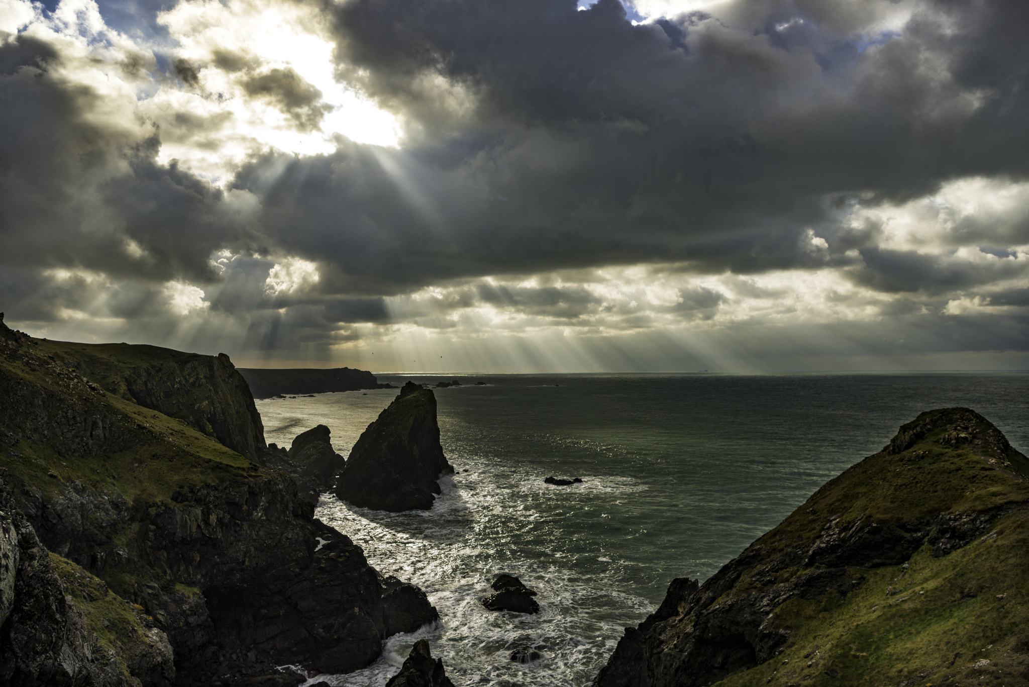 Nikon AF-S Nikkor 24-70mm F2.8E ED VR sample photo. Towards the lizard photography
