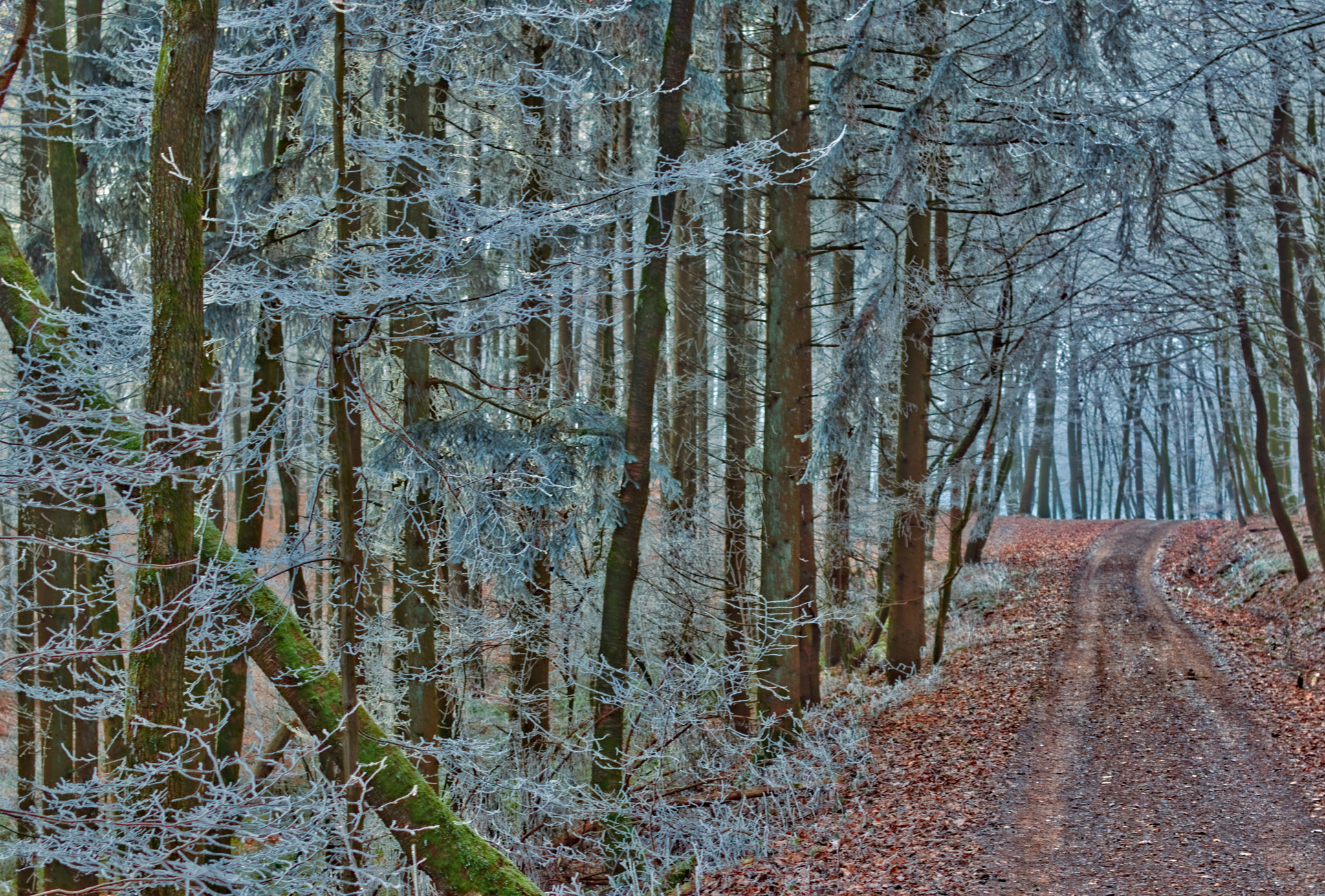 Sigma 50mm F1.4 EX DG HSM sample photo. Felix becker hdr photography
