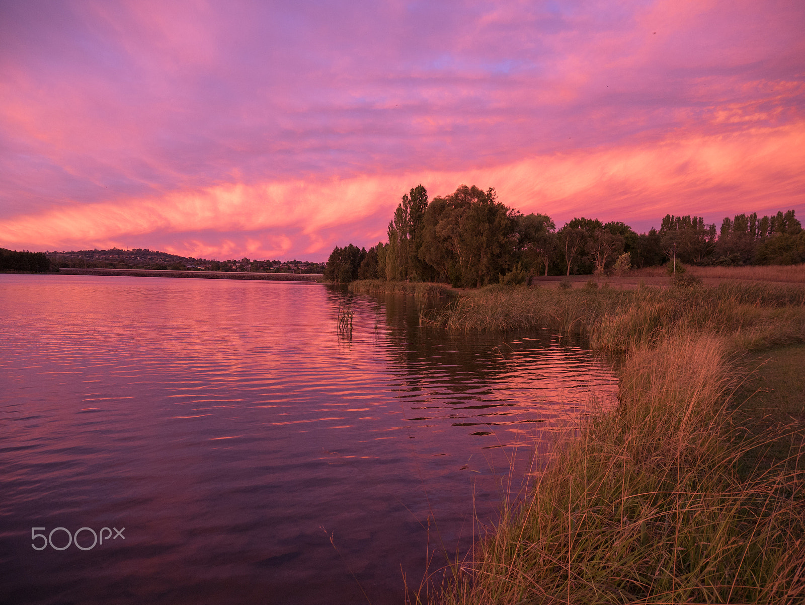 Panasonic DMC-GM1S + Panasonic Lumix G Vario HD 12-32mm F3.5-5.6 Mega OIS sample photo. Canberra photography