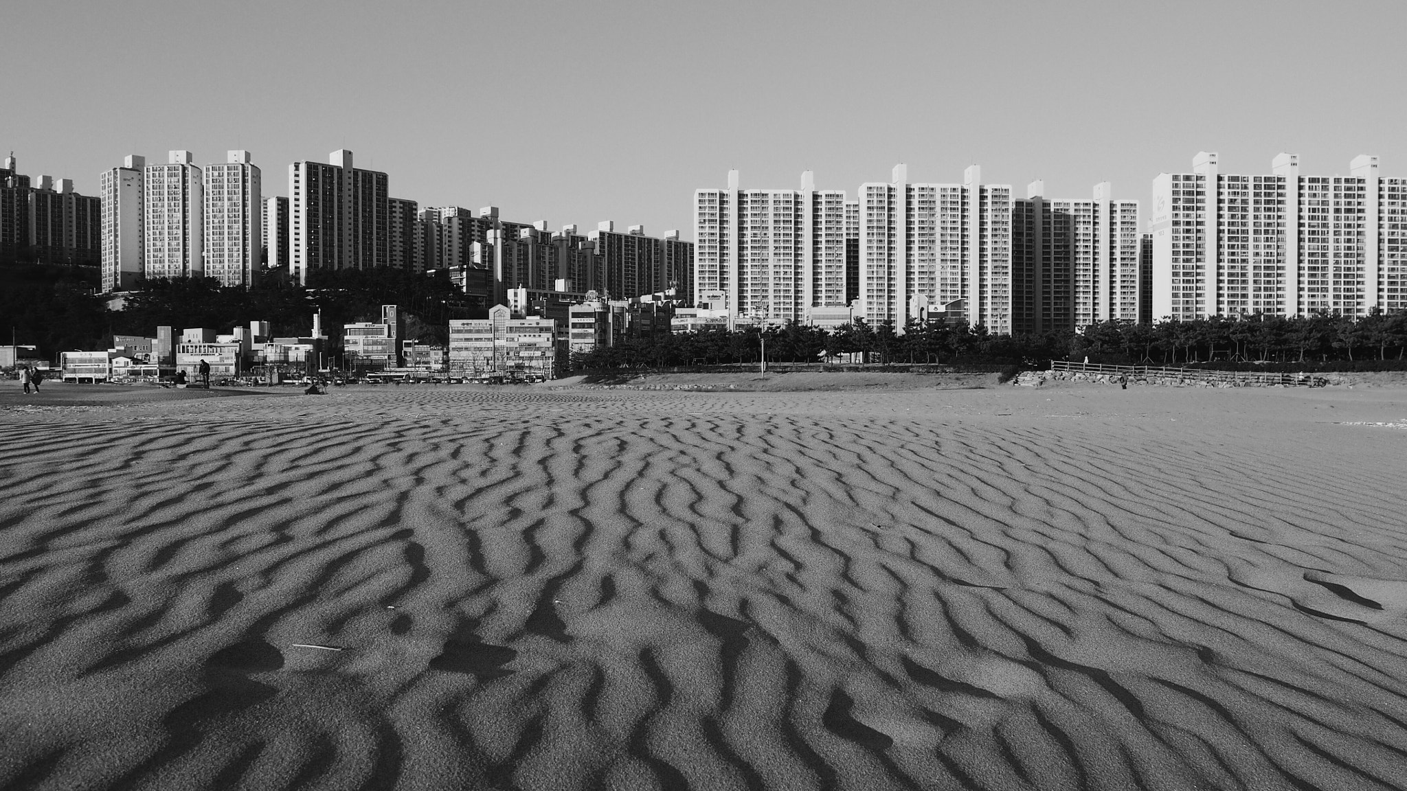 Olympus OM-D E-M10 + Olympus M.Zuiko Digital ED 12-40mm F2.8 Pro sample photo. Sand photography