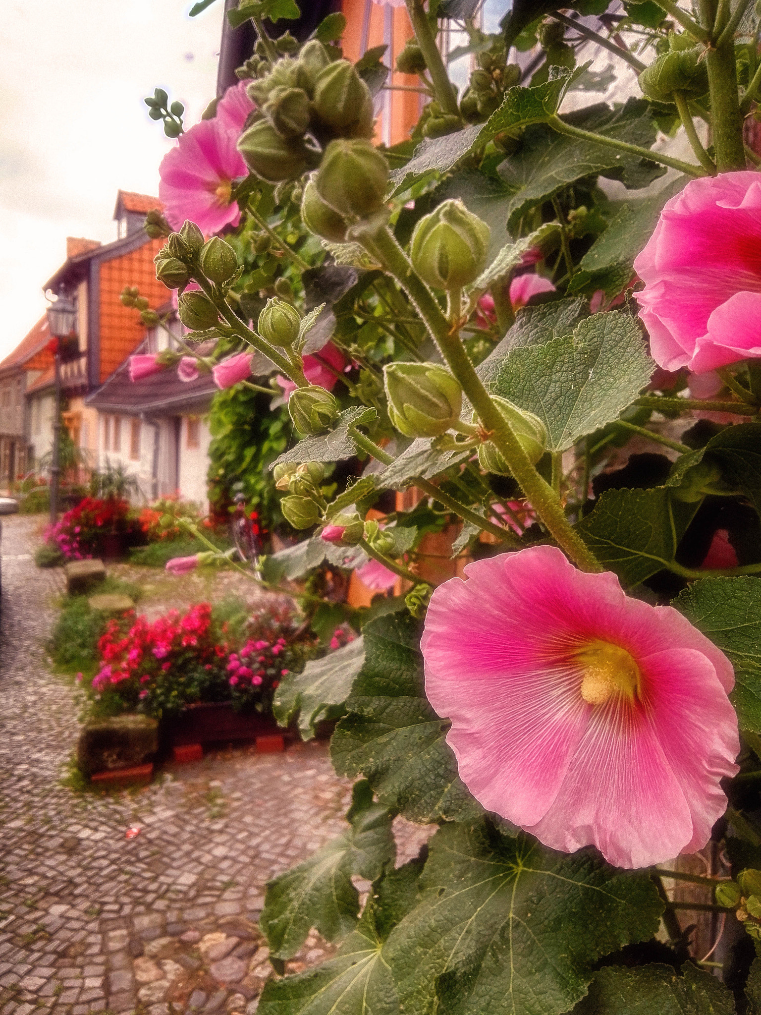 HUAWEI DAV sample photo. Sdr photography