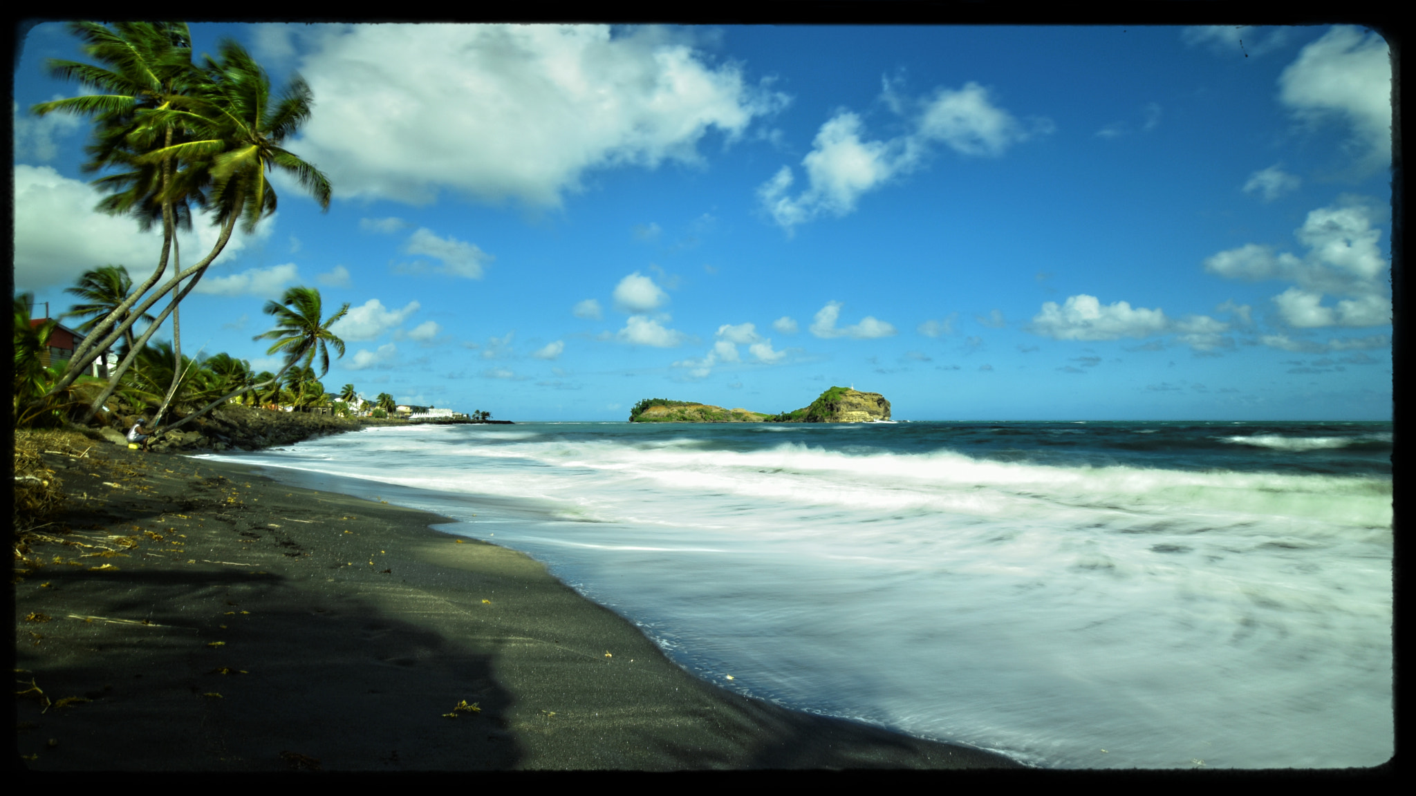 Nikon D5500 sample photo. The shade of the palm trees photography
