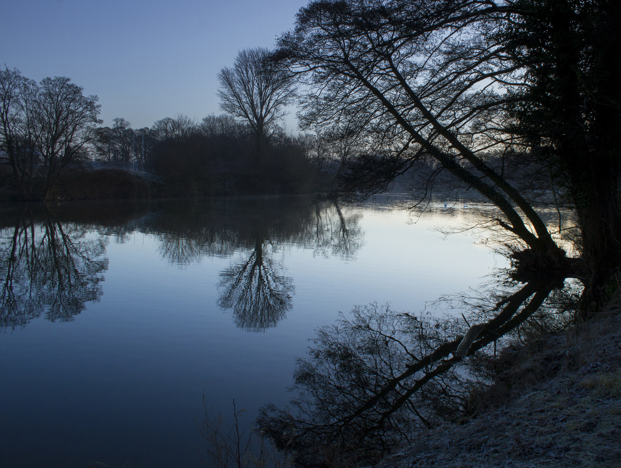 Canon EOS 7D sample photo. The taff.jpg photography