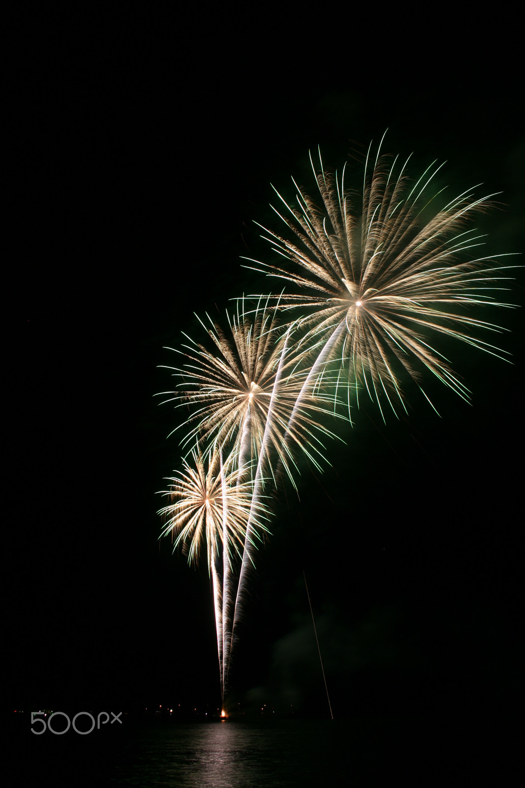 Canon EF-S 18-55mm F3.5-5.6 sample photo. Flower fireworks photography