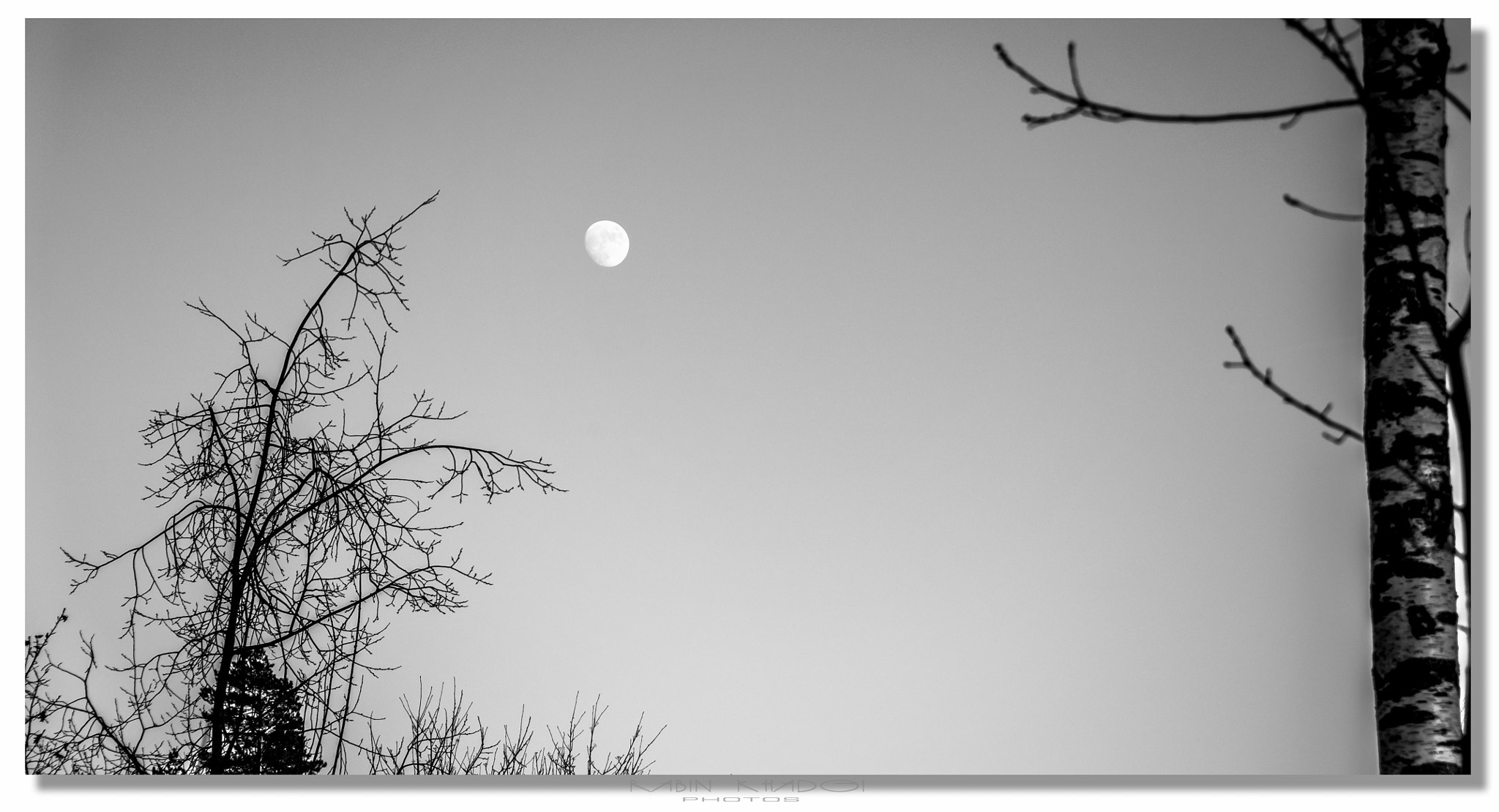 Panasonic Lumix DMC-GX8 sample photo. Peaceful moon photography