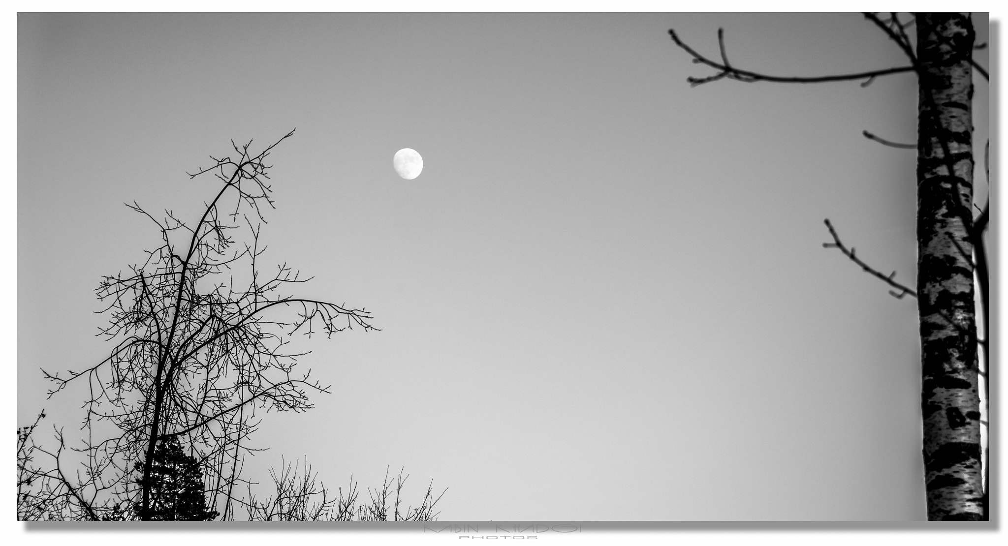 LUMIX G VARIO 12-60/F3.5-5.6 sample photo. Peaceful moon photography