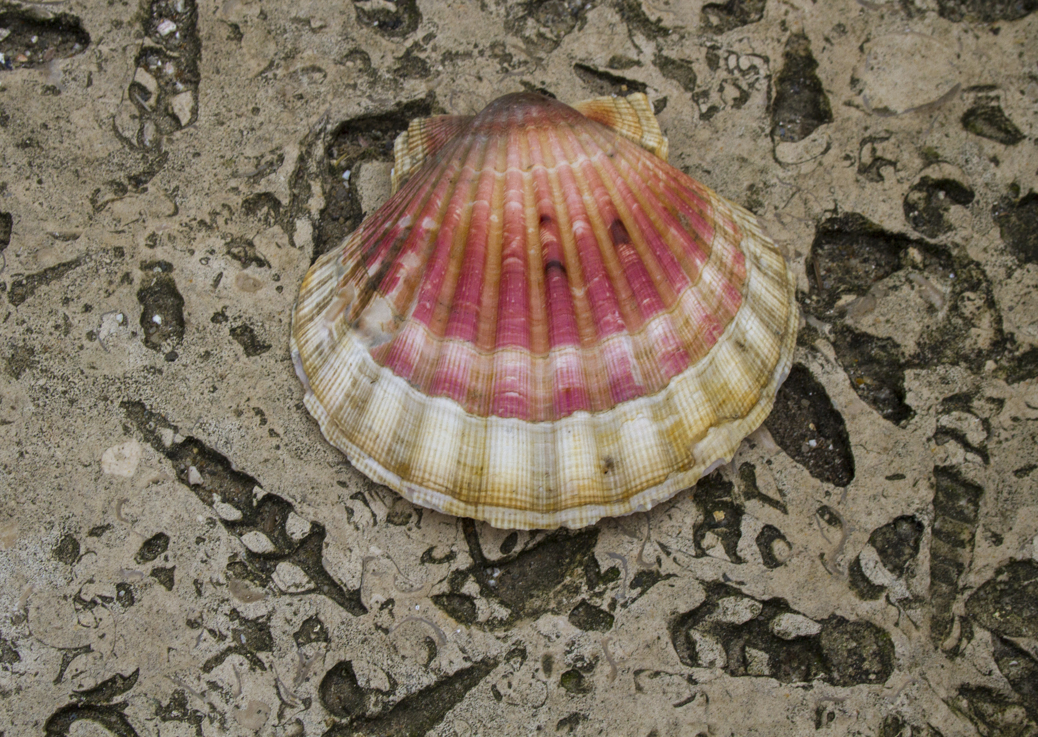 Canon EOS 7D sample photo. 30060460384.jpg photography