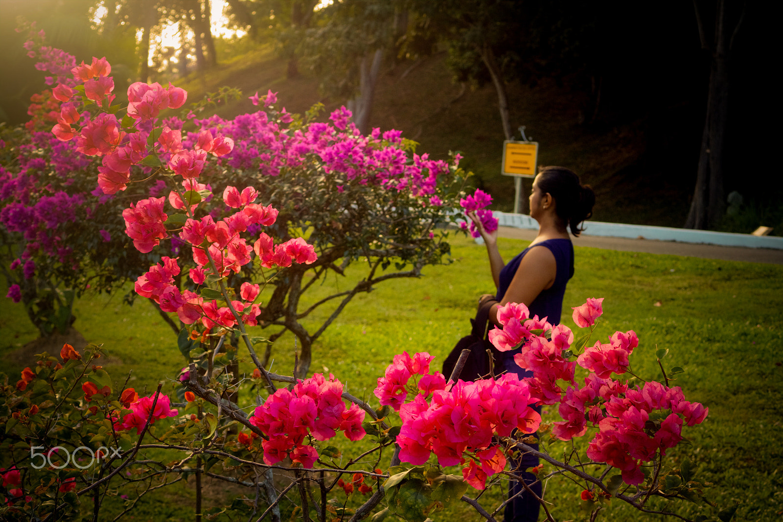Canon EF 35-80mm f/4-5.6 sample photo. At the park photography