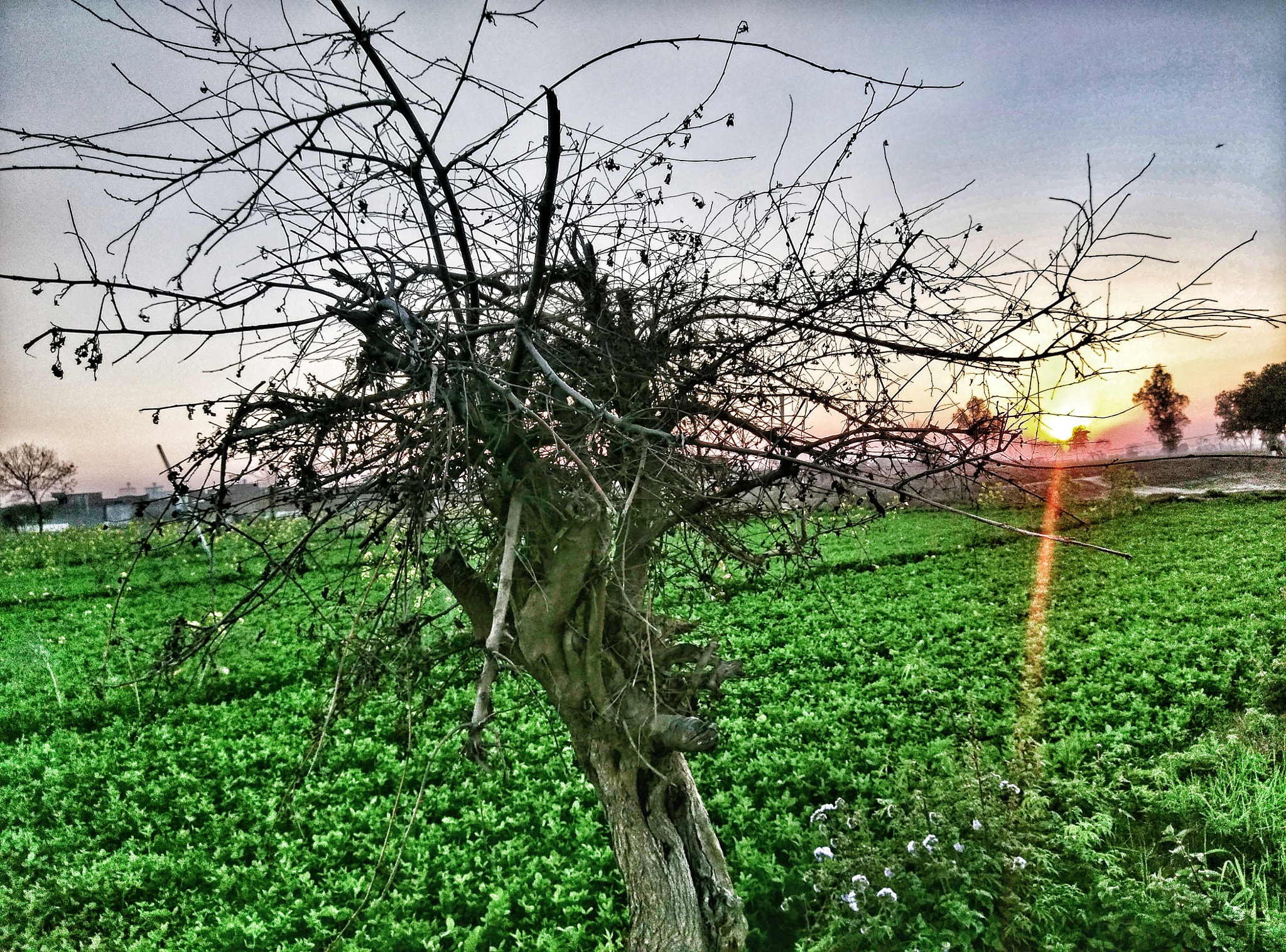 HTC ONE A9 sample photo. Sunset ! ☀ photography