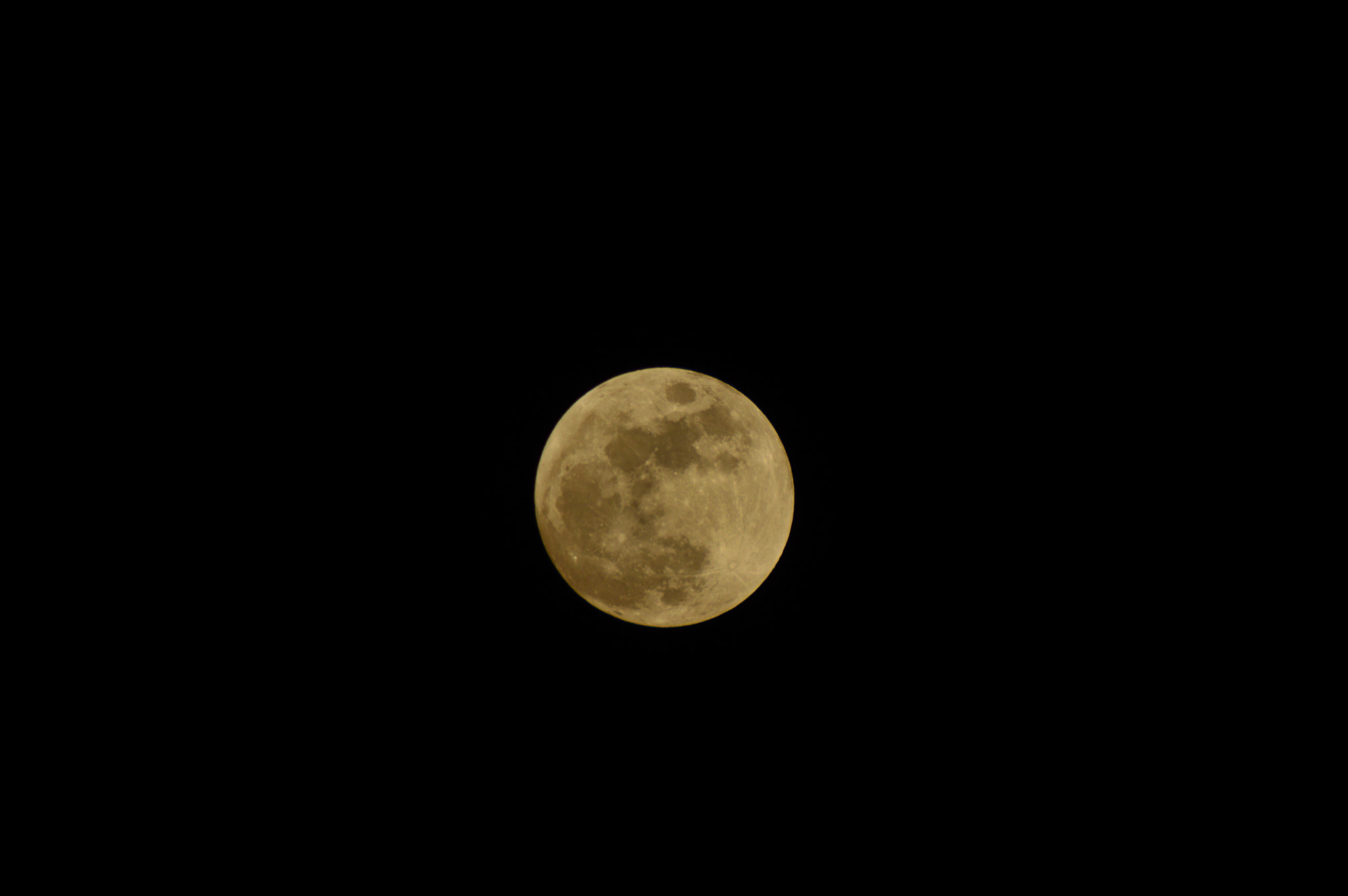 Nikon D3200 + Sigma APO 170-500mm F5-6.3 Aspherical RF sample photo. Csc photography