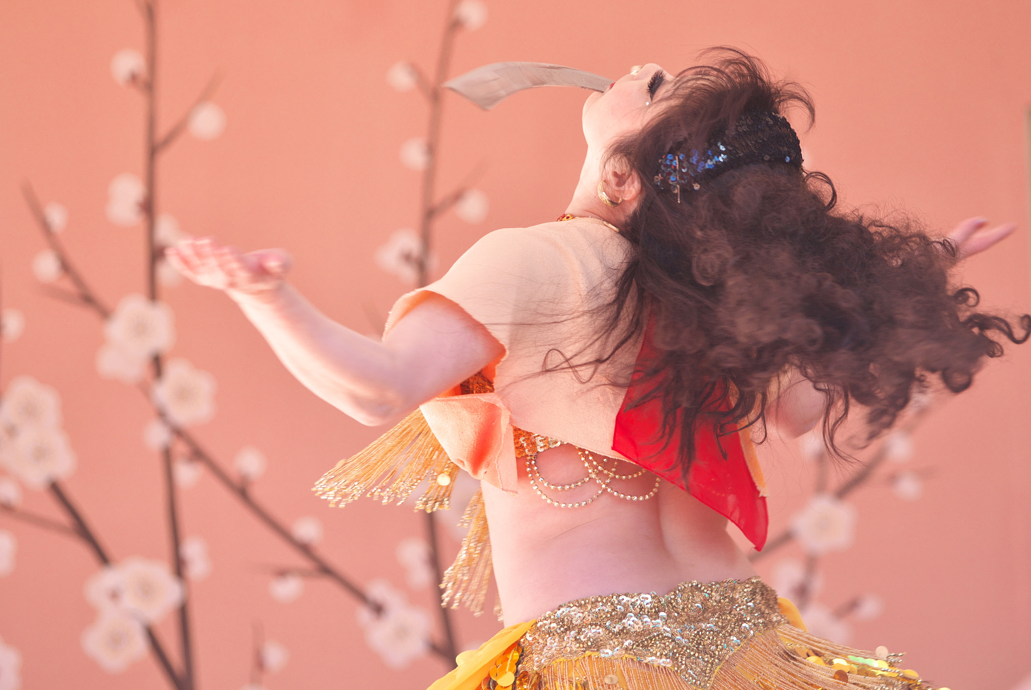 Canon EF 70-200mm F2.8L IS USM sample photo. Shiraume matsuri photography