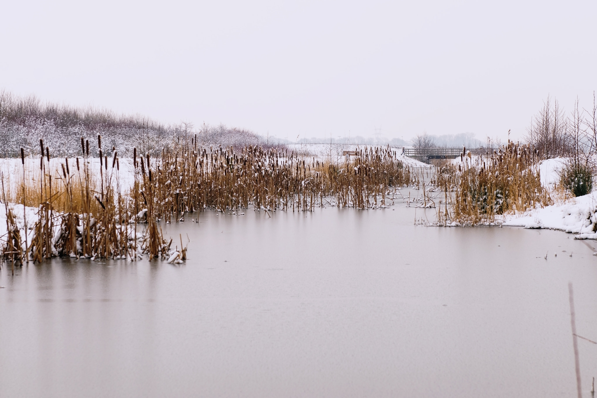 Nikon D300S sample photo. February winter photography