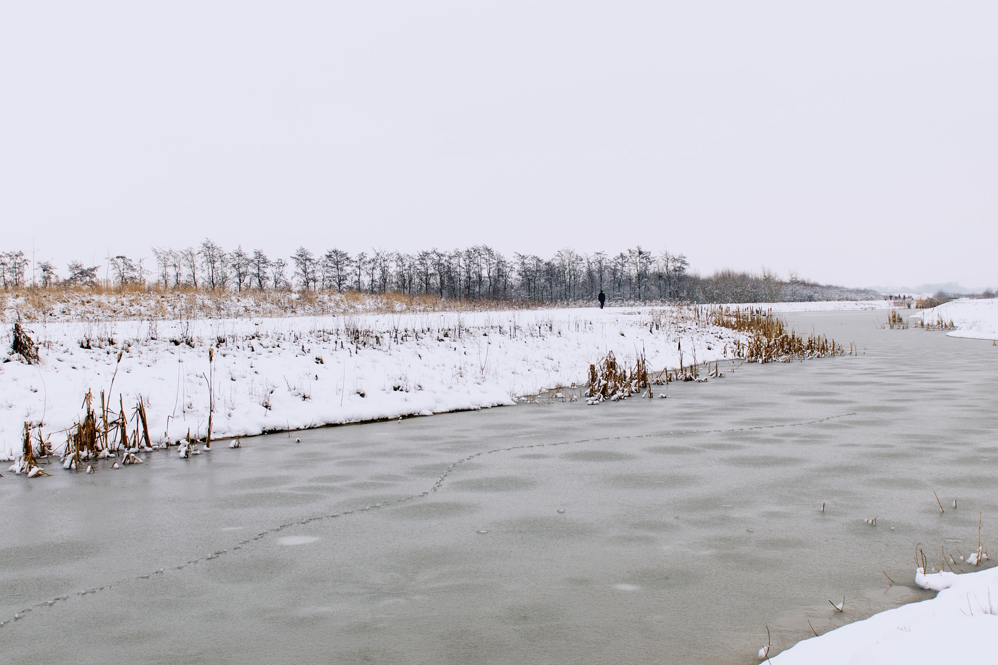 Nikon D300S sample photo. February winter photography