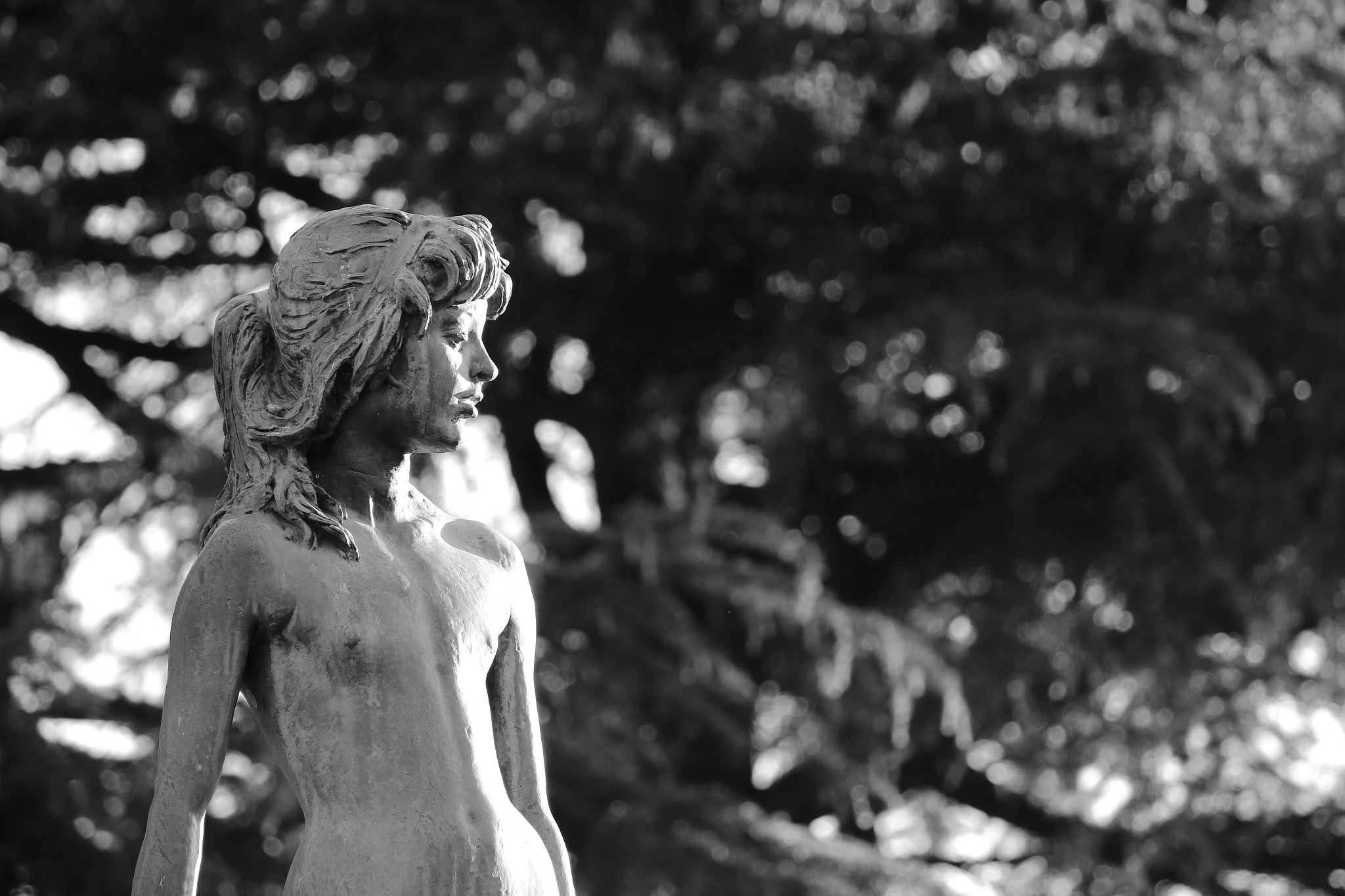 Canon EOS 100D (EOS Rebel SL1 / EOS Kiss X7) + Canon EF-S 55-250mm F4-5.6 IS II sample photo. A statue photography