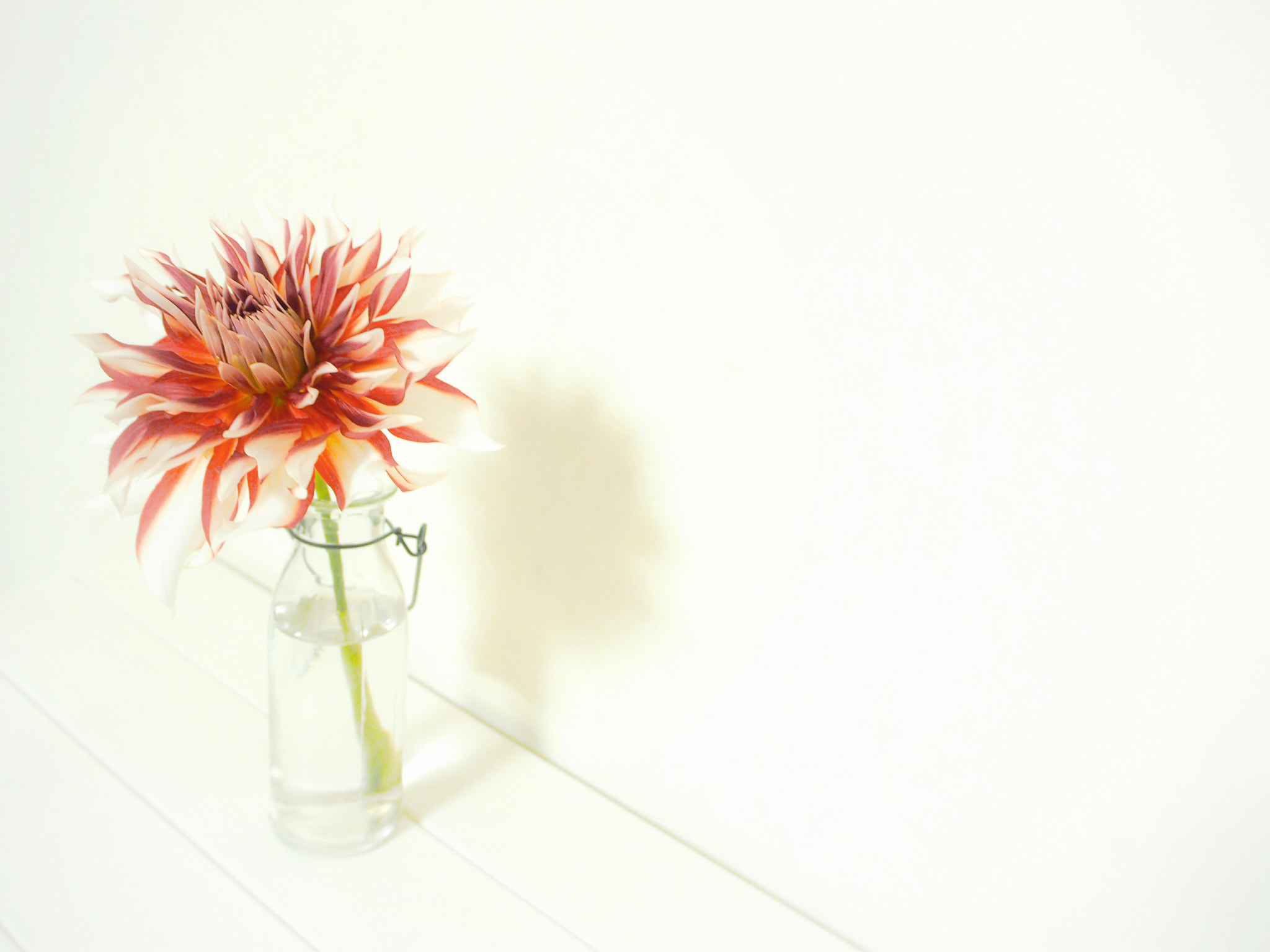 Olympus PEN E-PL6 sample photo. Untitled photography