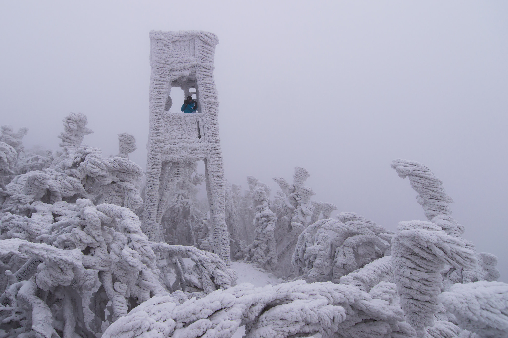 Nikon D3200 sample photo. Winter paradise photography