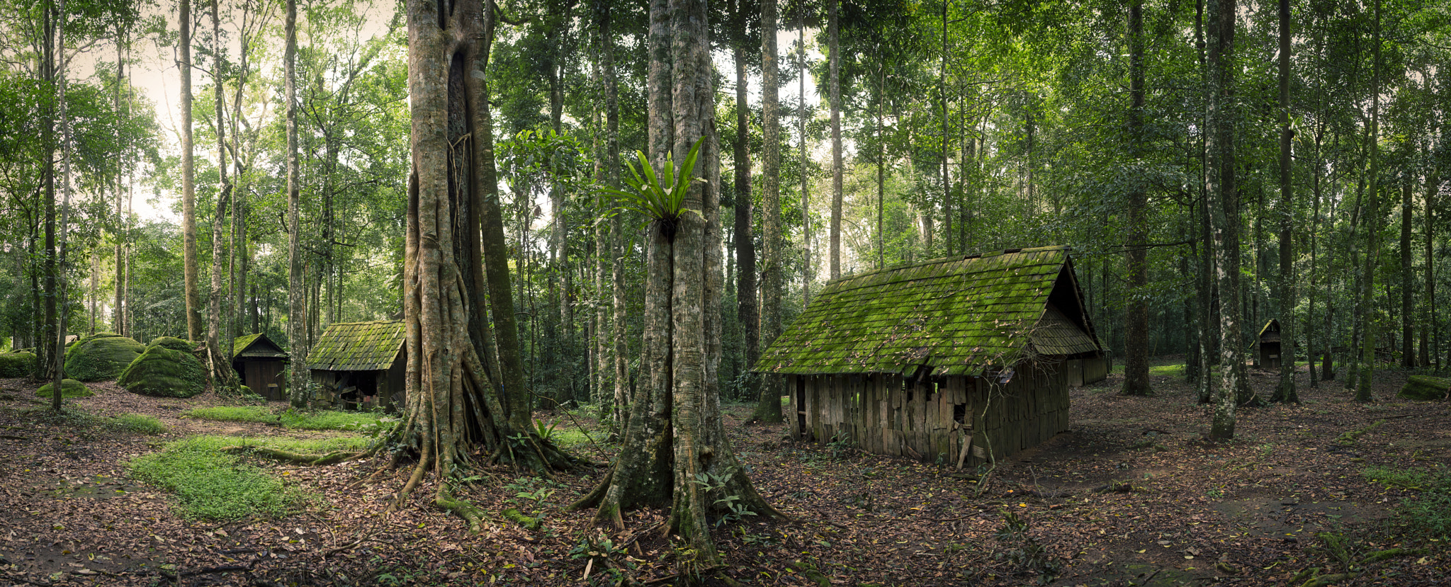Nikon Df sample photo. Green hut in forest photography
