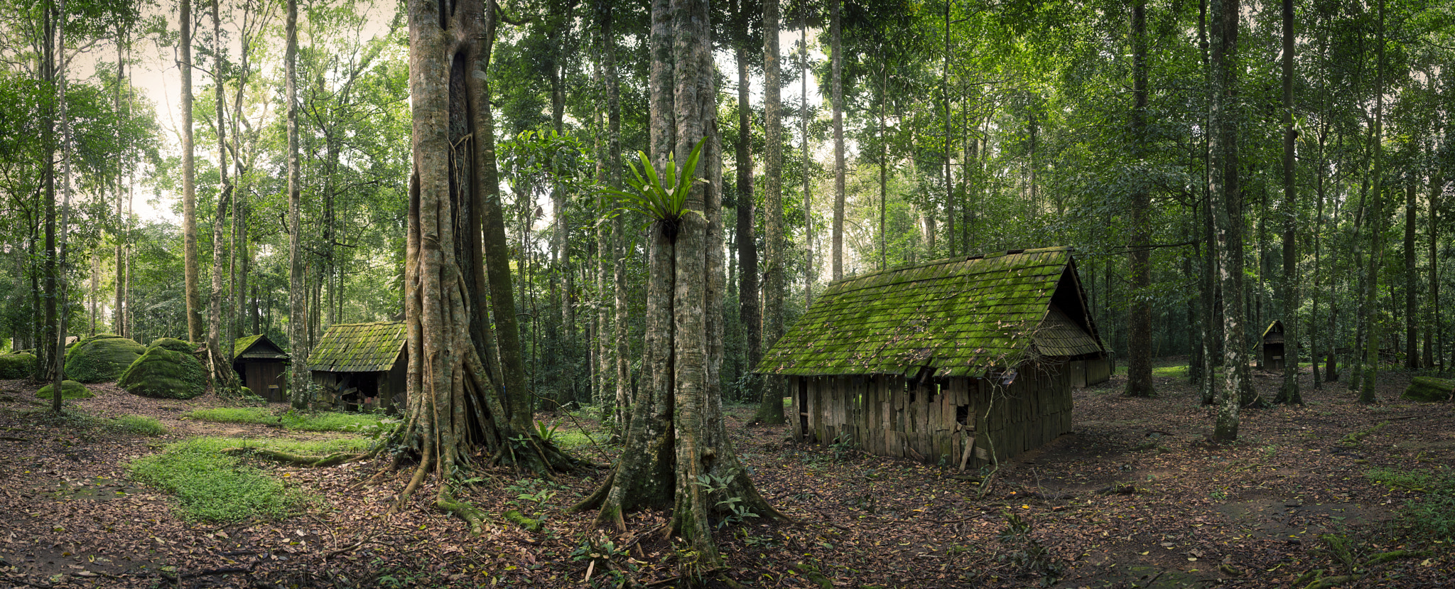 Nikon Df + Nikon AF-S Nikkor 28mm F1.8G sample photo. Green hut in forest photography