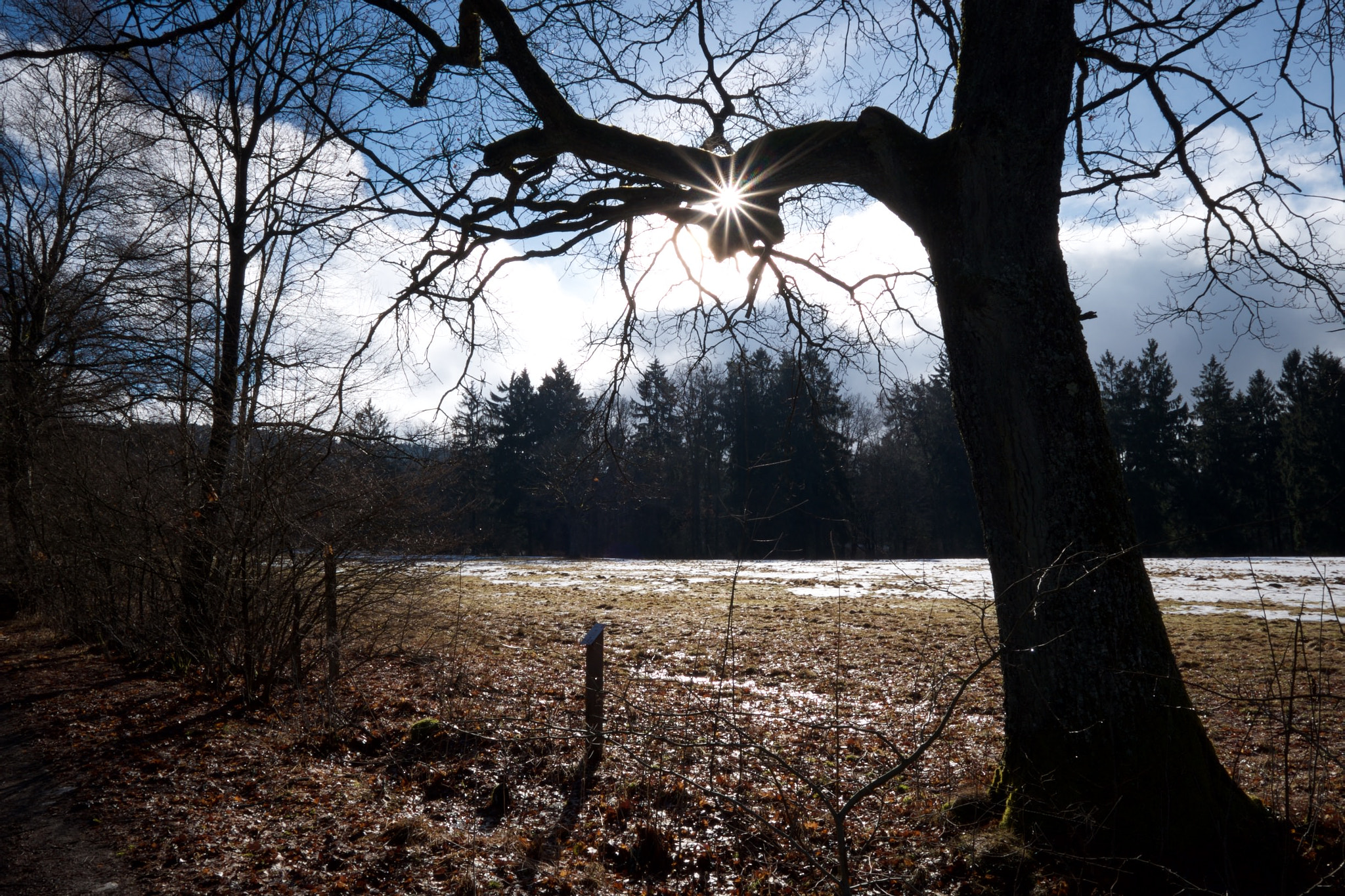 Fujifilm X-E2 sample photo. Late winter meadow photography