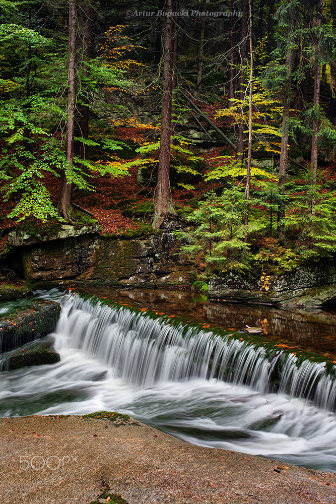 Canon EOS 5D Mark II sample photo. Stream with water cascade in autumn forest photography