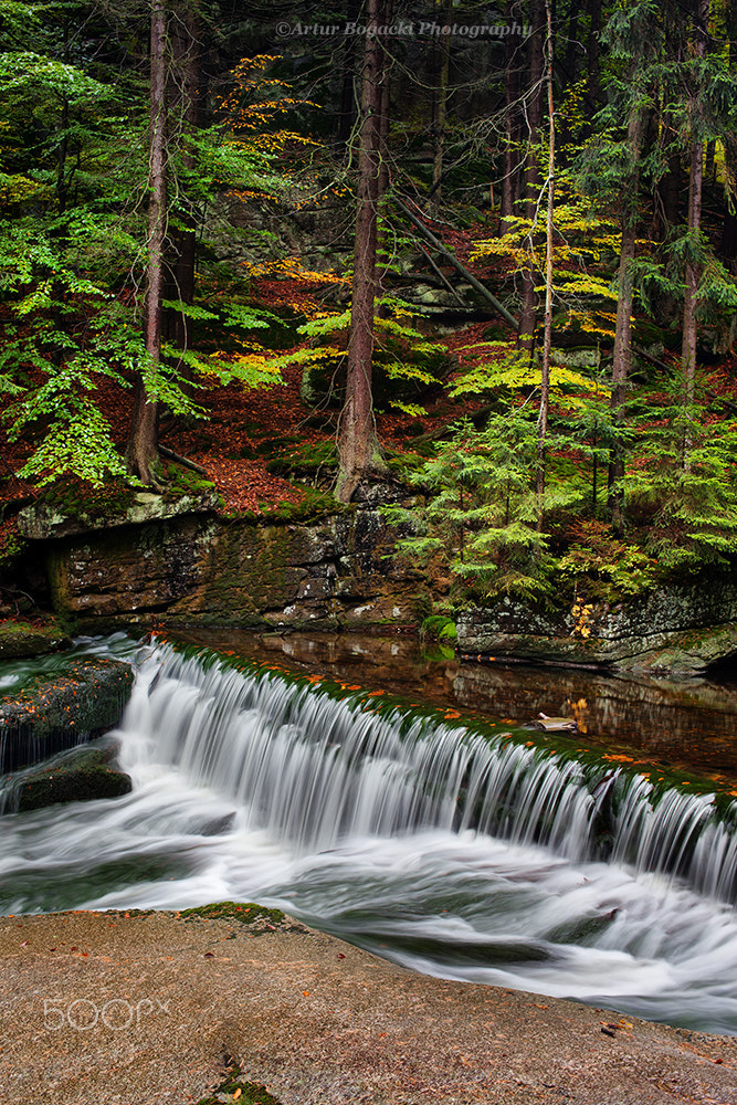 Canon EOS 5D Mark II + Canon EF 35mm F2 sample photo. Stream with water cascade in autumn forest photography