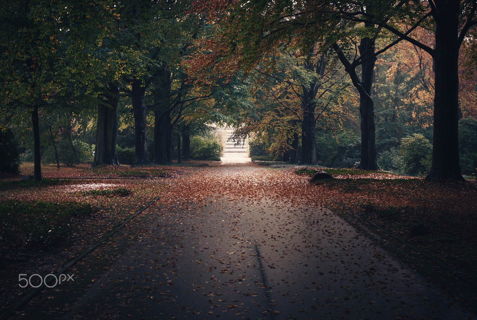 Sony ILCA-77M2 sample photo. Last autumn photography