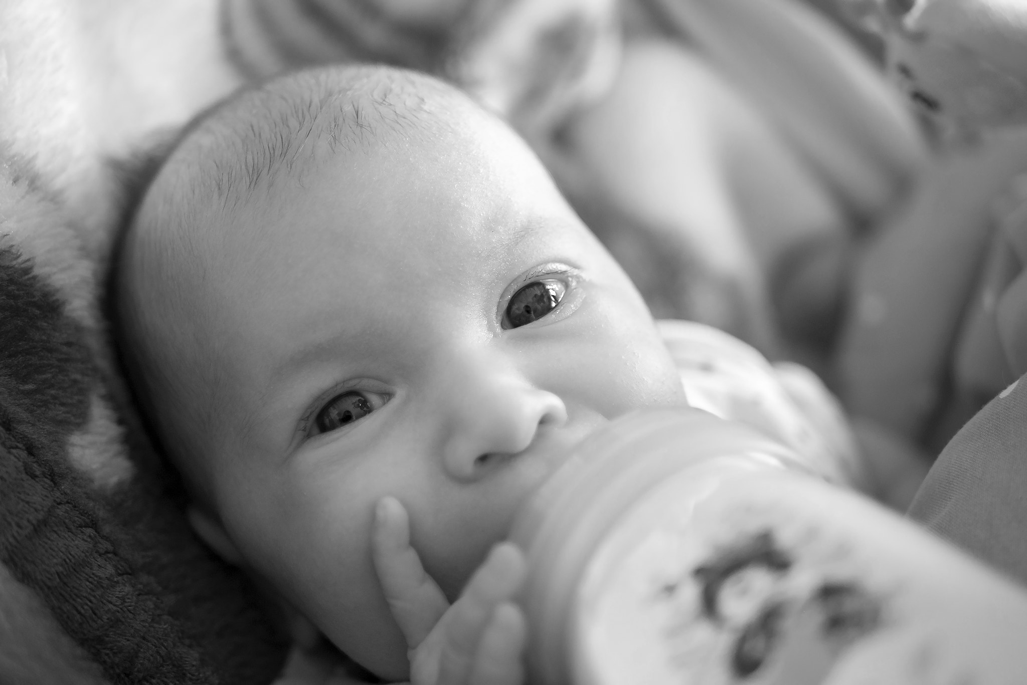 LUMIX G 25/F1.7 sample photo. Big eyes photography