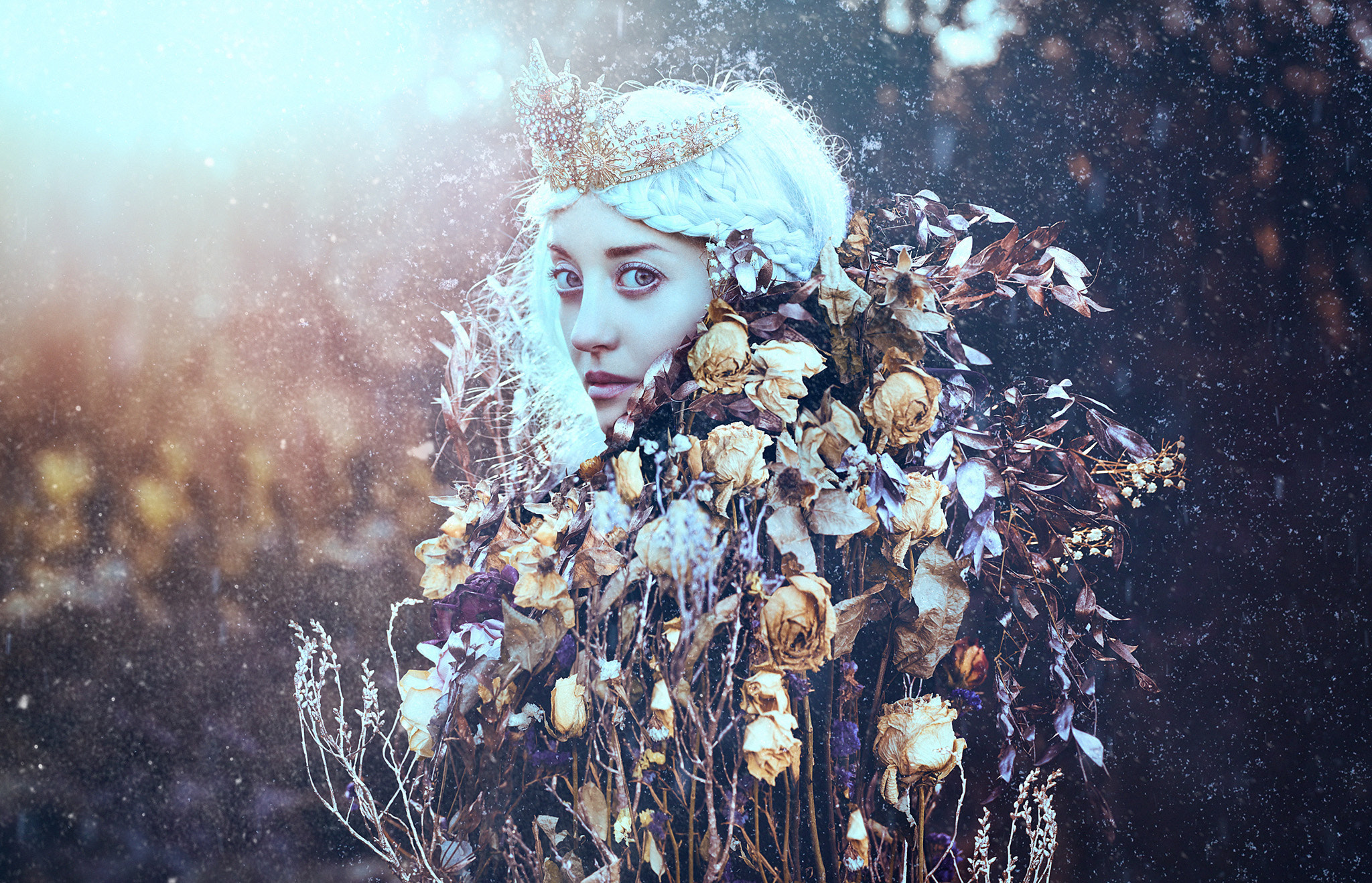 Phase One IQ3 100MP + Schneider Kreuznach LS 80mm f/2.8 sample photo. Winter's wildflower ii photography