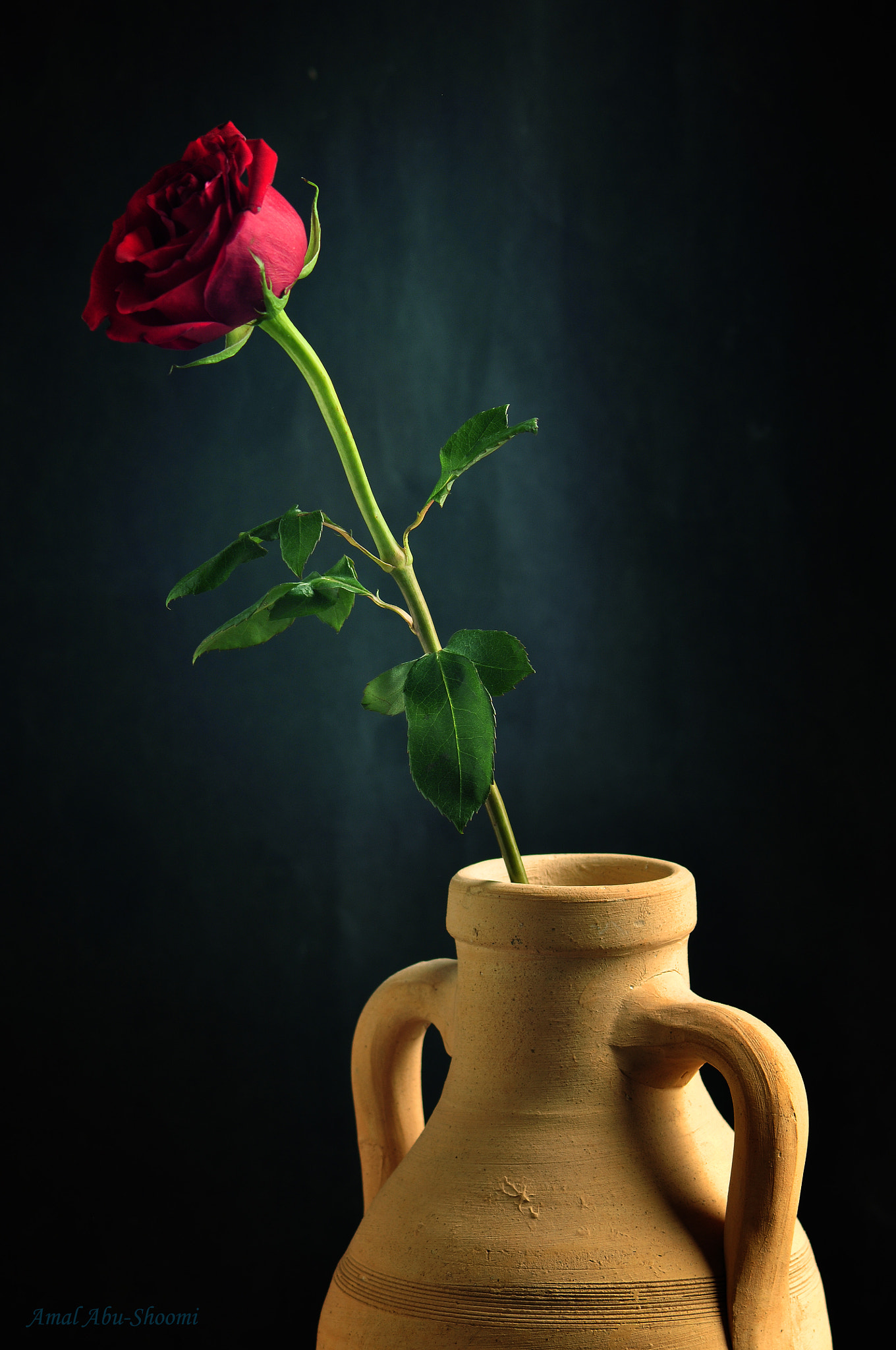 Nikon D5000 sample photo. Red flower 3 photography