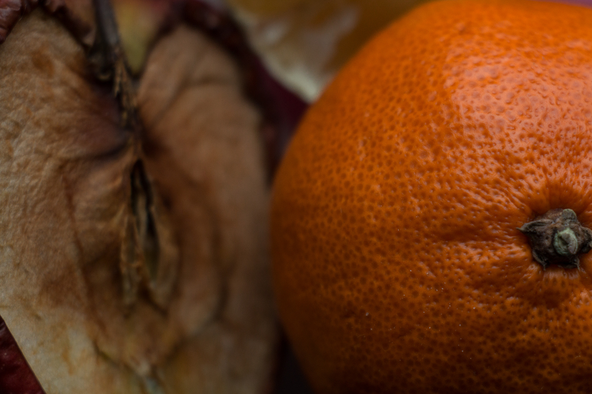 Canon EF 35-80mm f/4-5.6 sample photo. Fruit "0" photography