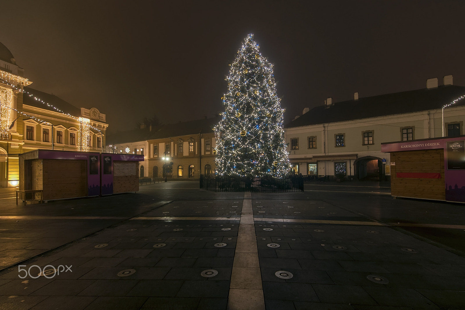 Nikon D90 sample photo. Christmas tree in eger photography