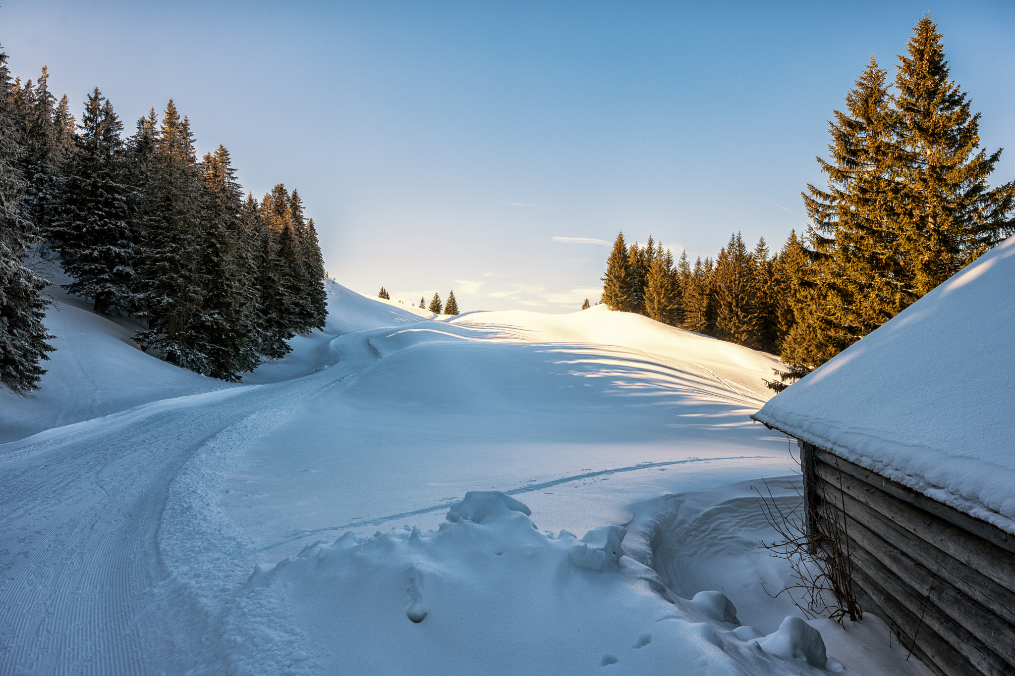 Leica Tri-Elmar-M 16-18-21mm F4 ASPH sample photo. Winter wonderland photography