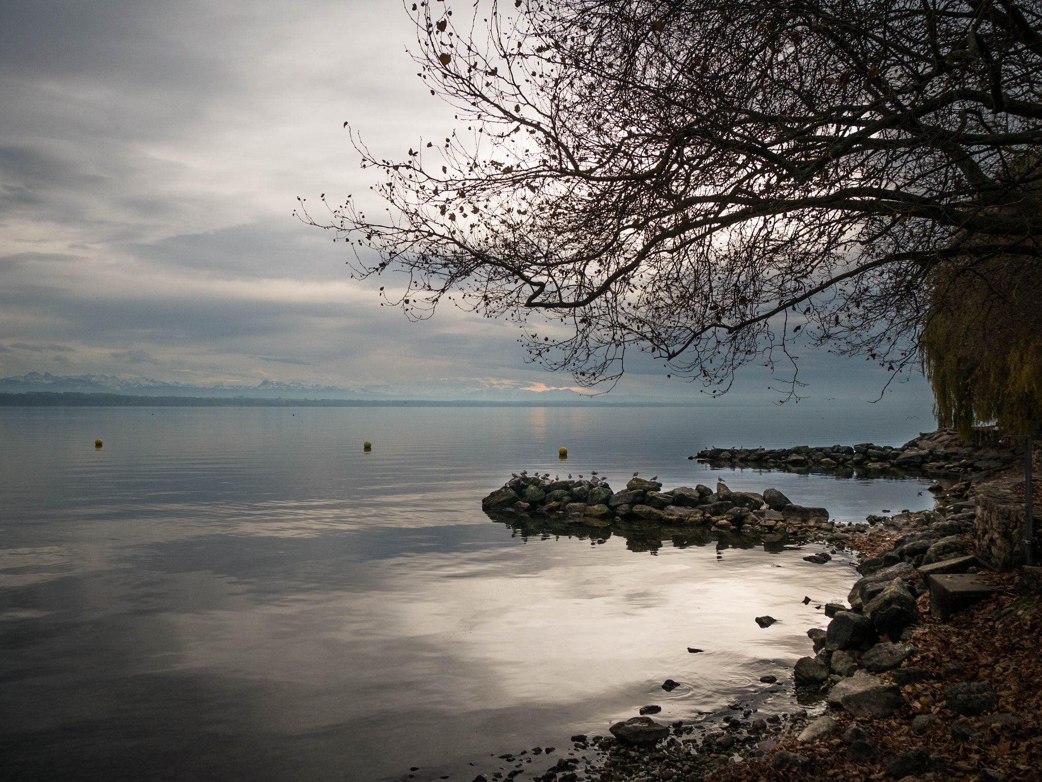 Panasonic Lumix DMC-G7 + Panasonic Lumix G Vario 14-140mm F3.5-5.6 ASPH Power O.I.S sample photo. Neuchâtel lake in winter photography