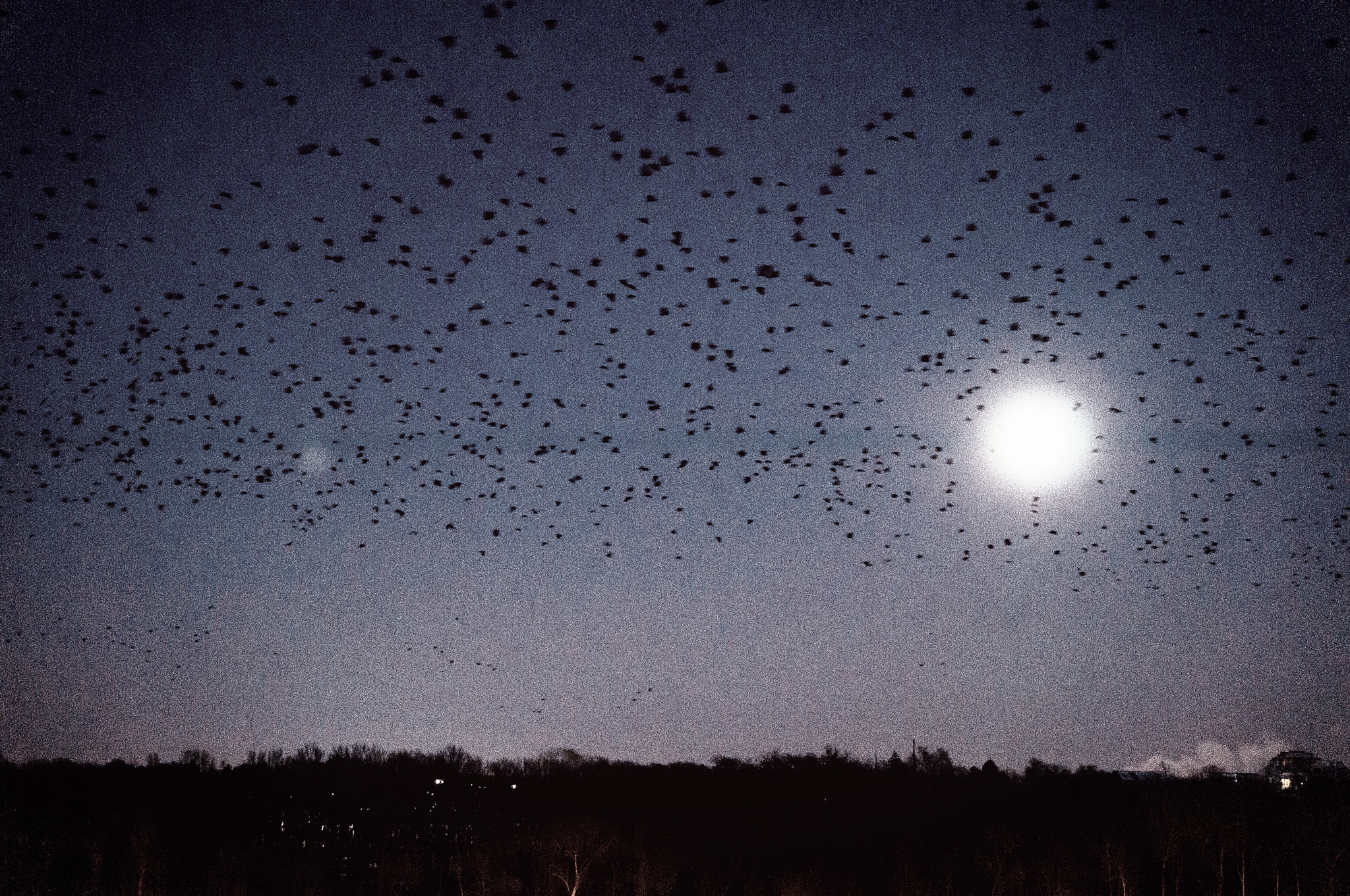 Sony SLT-A57 sample photo. In the moonlight photography