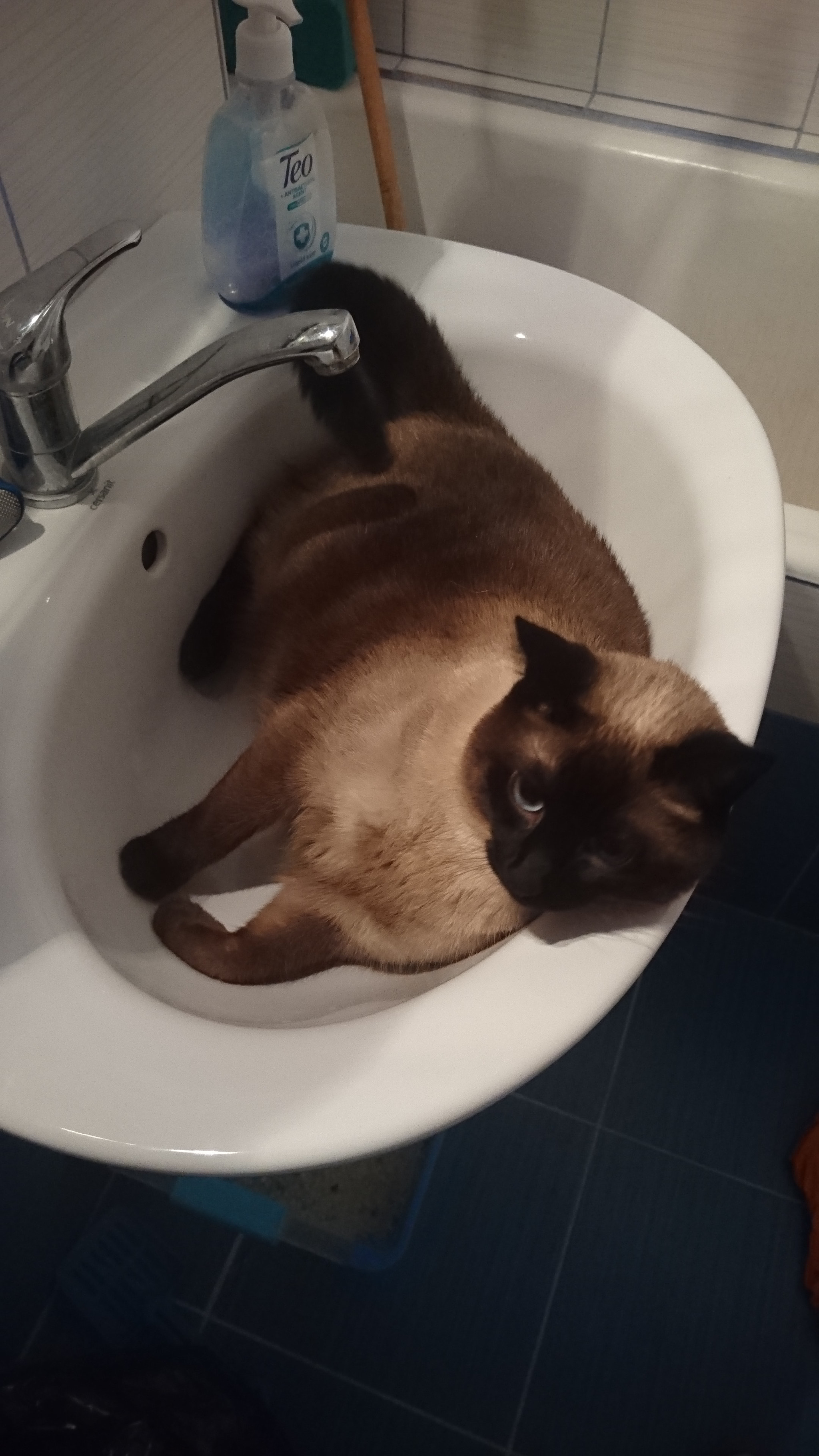 Sony Xperia Z3+ sample photo